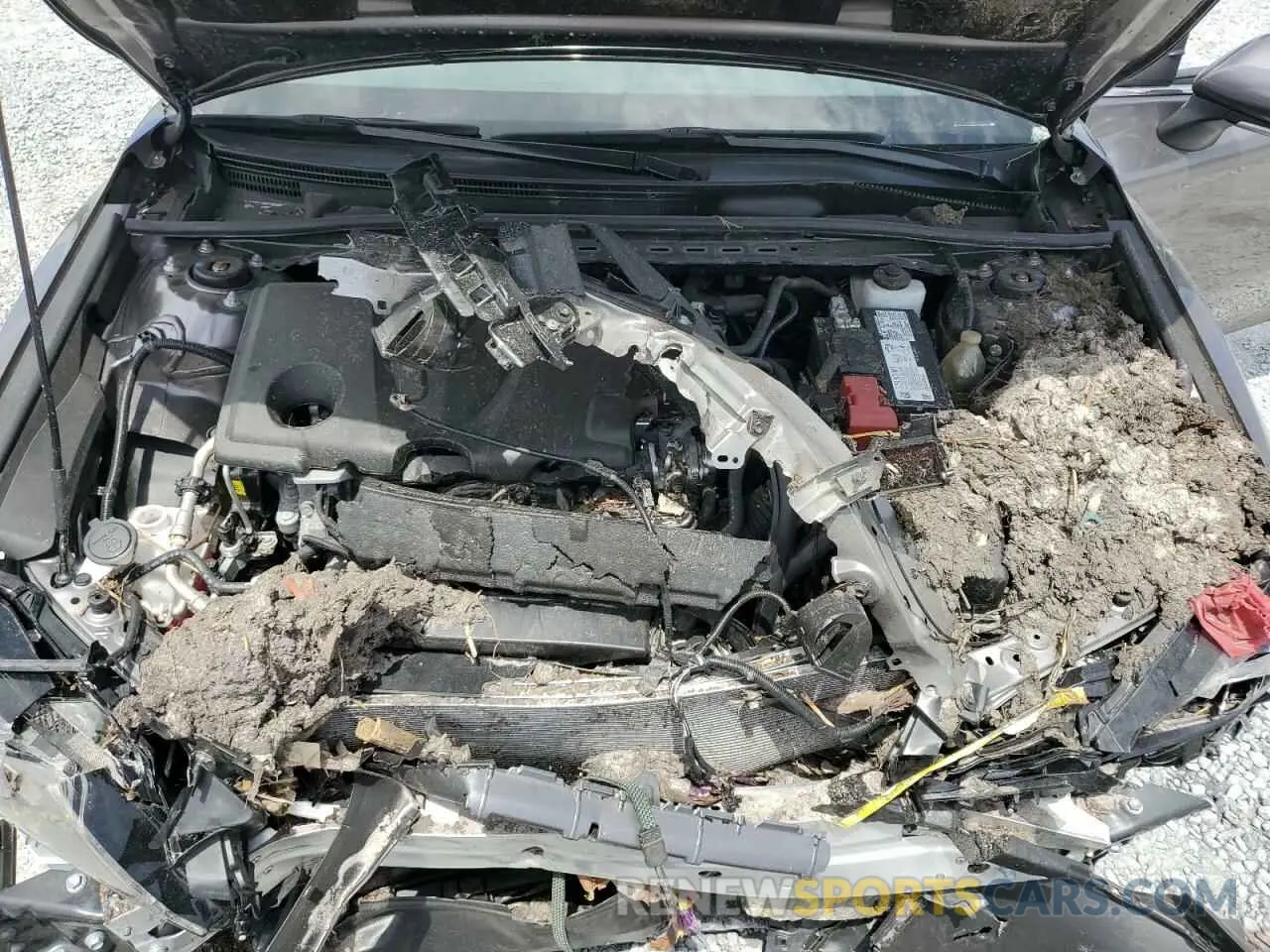 11 Photograph of a damaged car 4T1T11AK4RU261536 TOYOTA CAMRY 2024