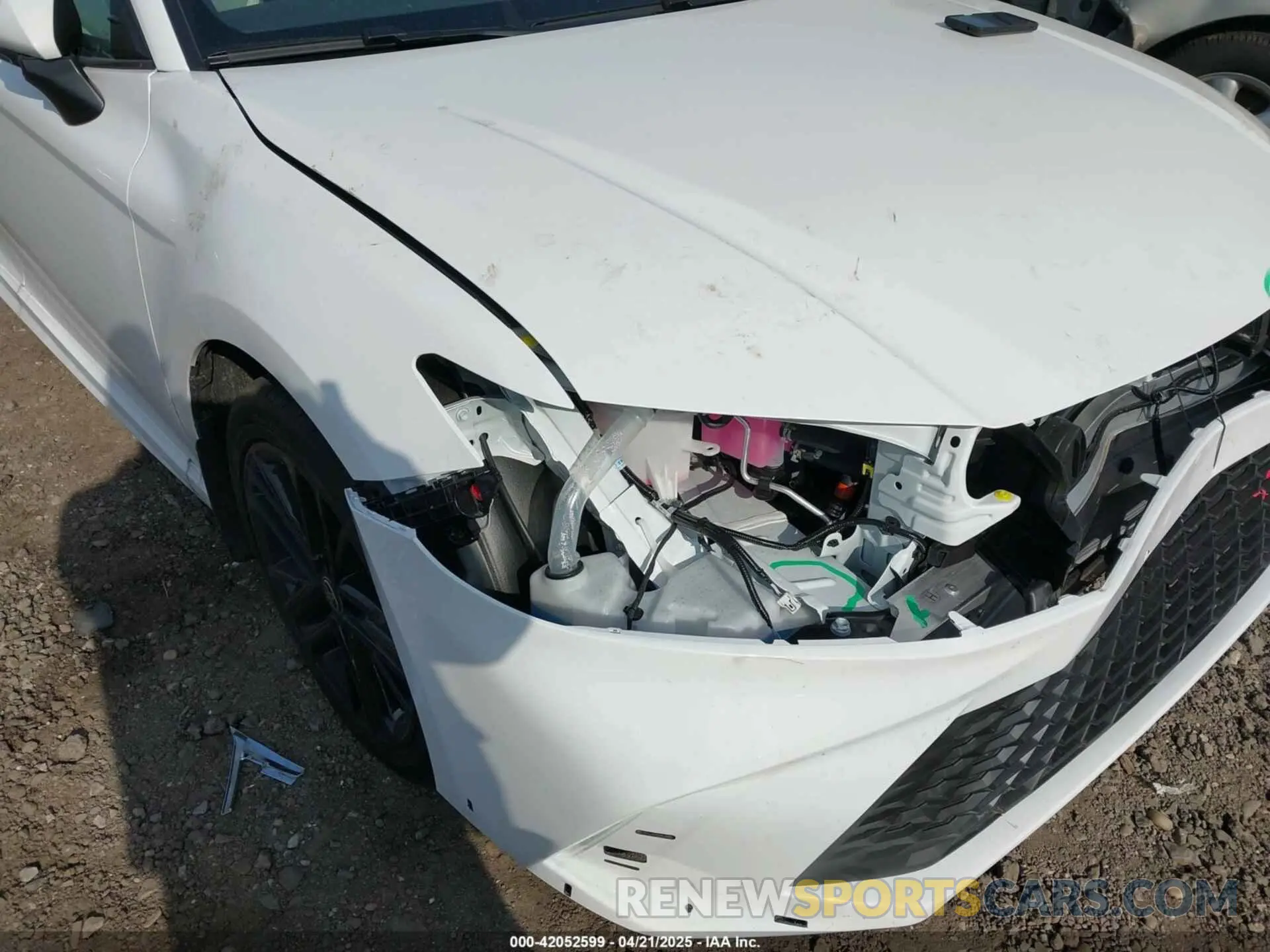 12 Photograph of a damaged car 4T1DBADK0SU526035 TOYOTA CAMRY 2025