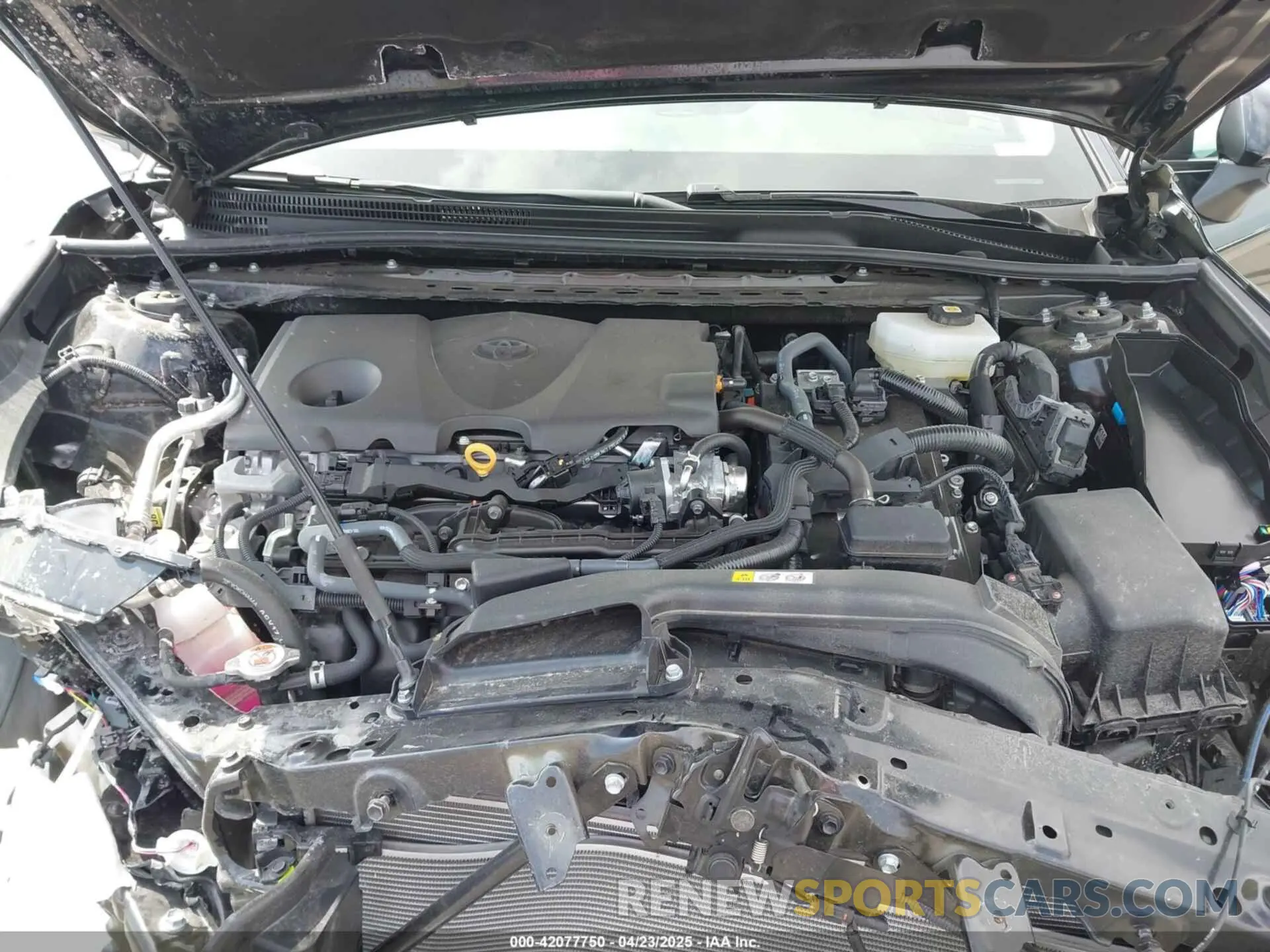 10 Photograph of a damaged car 4T1DBADK3SU506409 TOYOTA CAMRY 2025