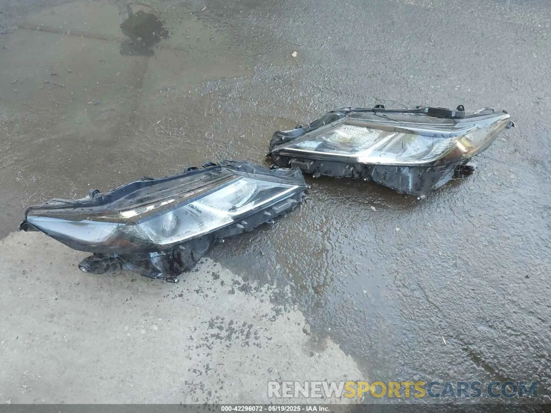 12 Photograph of a damaged car 4T1B21HK1KU521525 TOYOTA CAMRY HYBRID 2019
