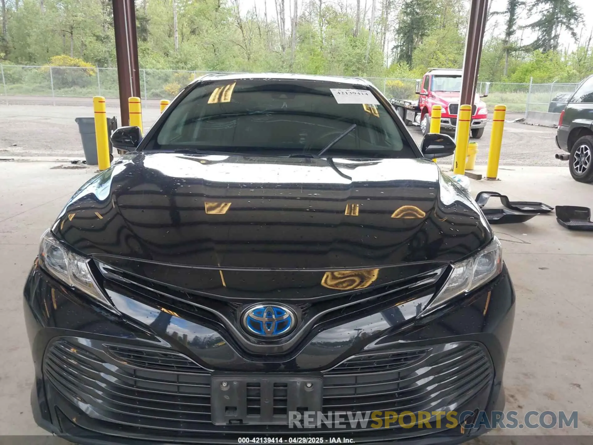 12 Photograph of a damaged car 4T1B31HK3KU517800 TOYOTA CAMRY HYBRID 2019