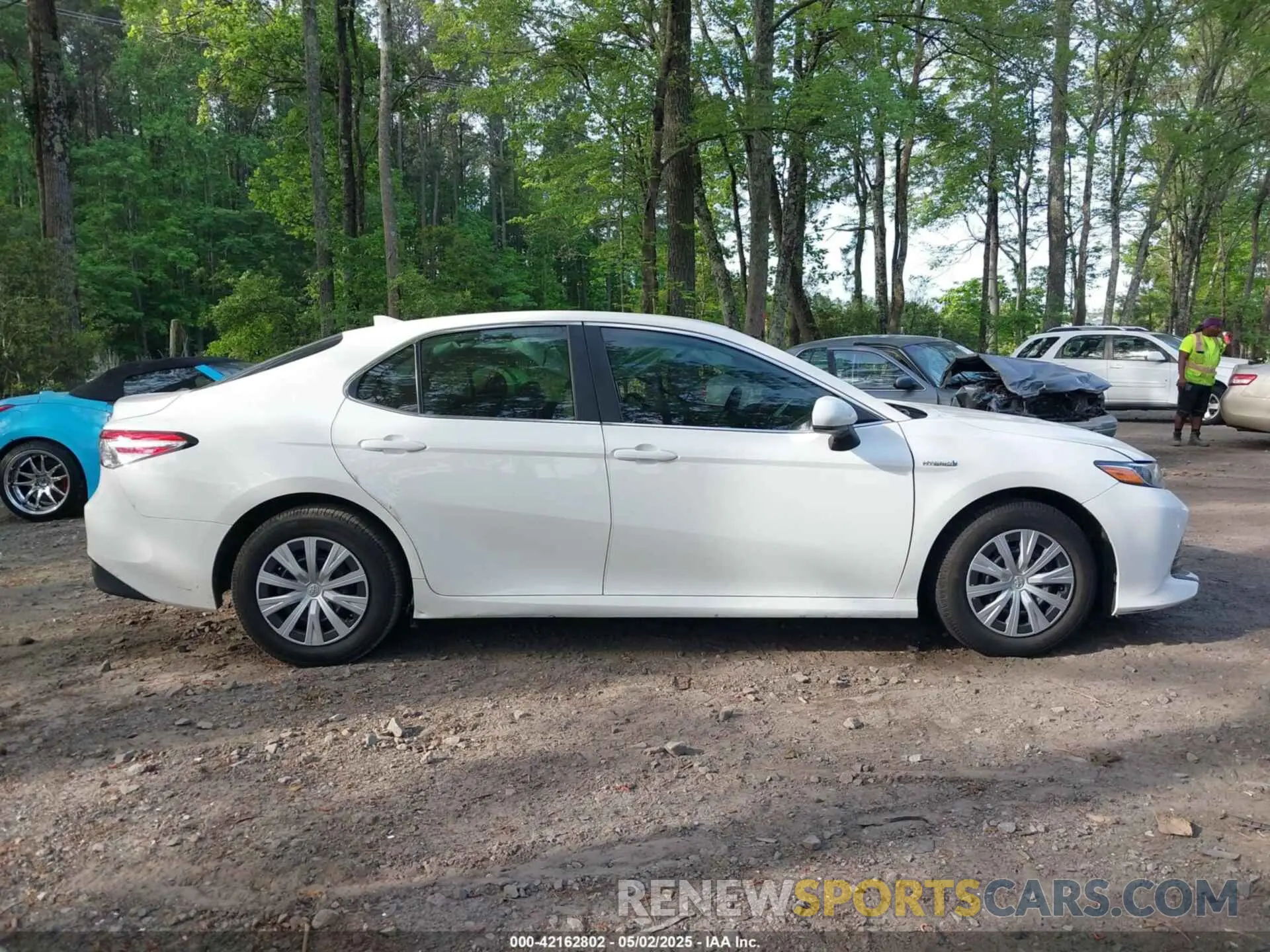 13 Photograph of a damaged car 4T1B31HK4KU005351 TOYOTA CAMRY HYBRID 2019