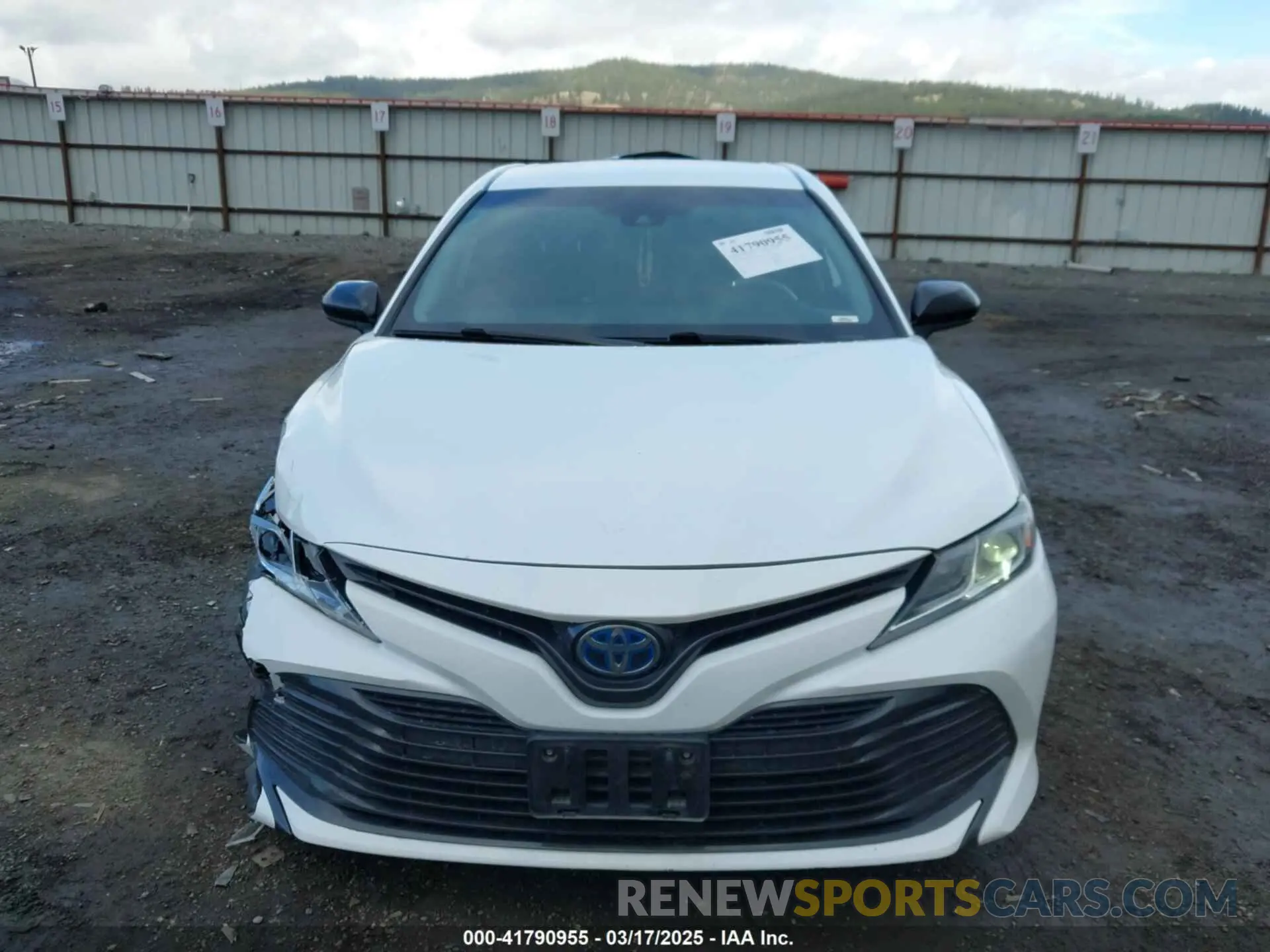 12 Photograph of a damaged car 4T1B31HK4KU513240 TOYOTA CAMRY HYBRID 2019