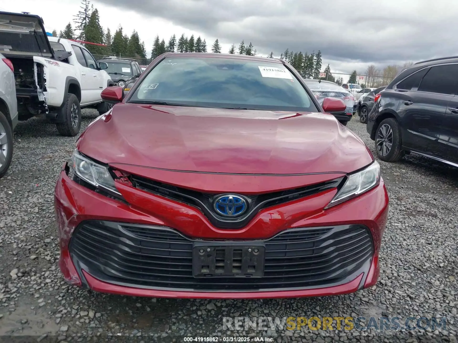 12 Photograph of a damaged car 4T1B31HK4KU516638 TOYOTA CAMRY HYBRID 2019