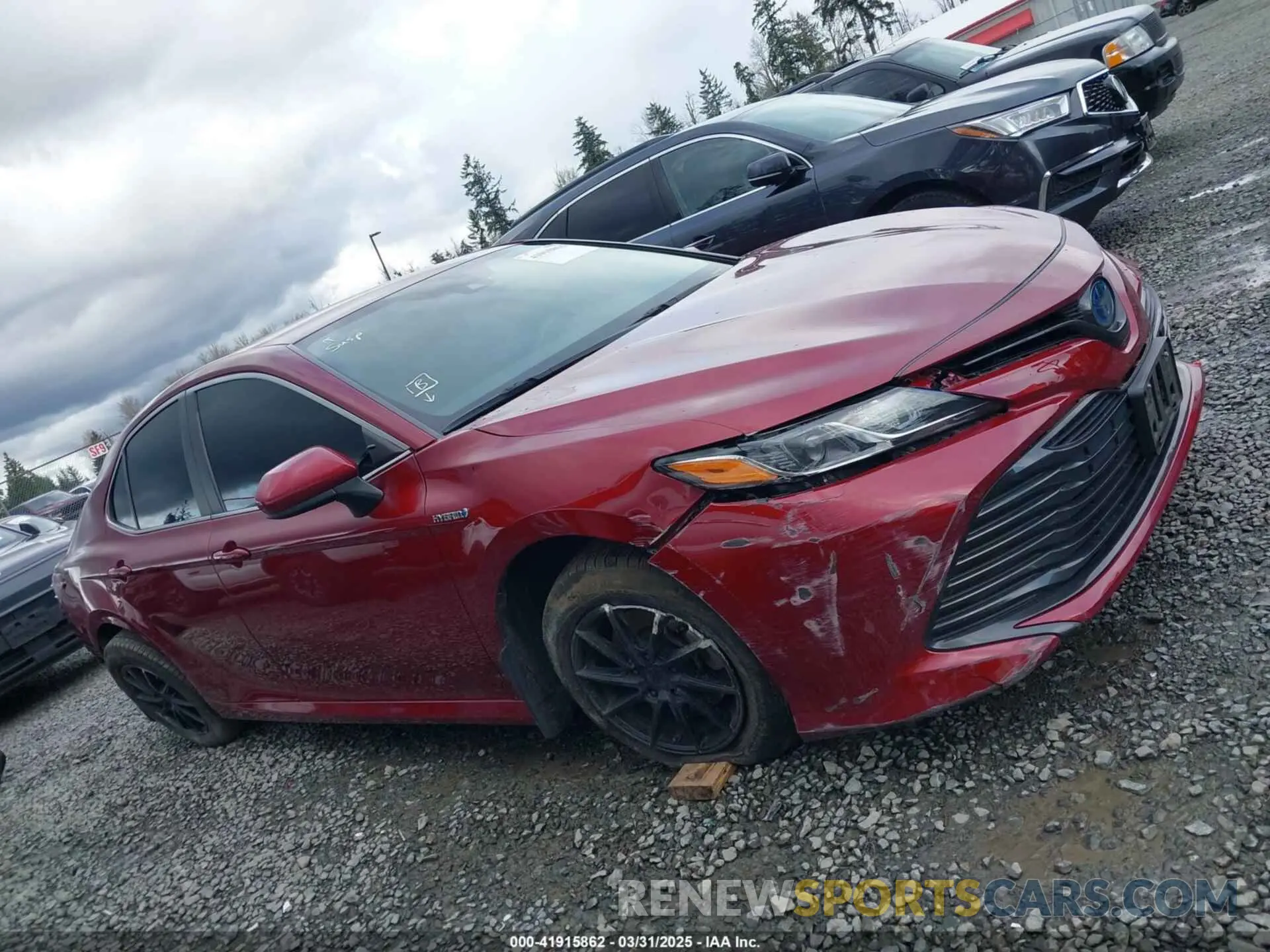 13 Photograph of a damaged car 4T1B31HK4KU516638 TOYOTA CAMRY HYBRID 2019