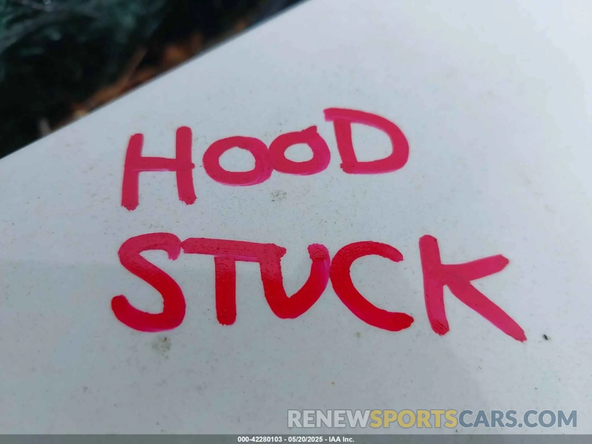 10 Photograph of a damaged car 4T1B31HK8KU008558 TOYOTA CAMRY HYBRID 2019