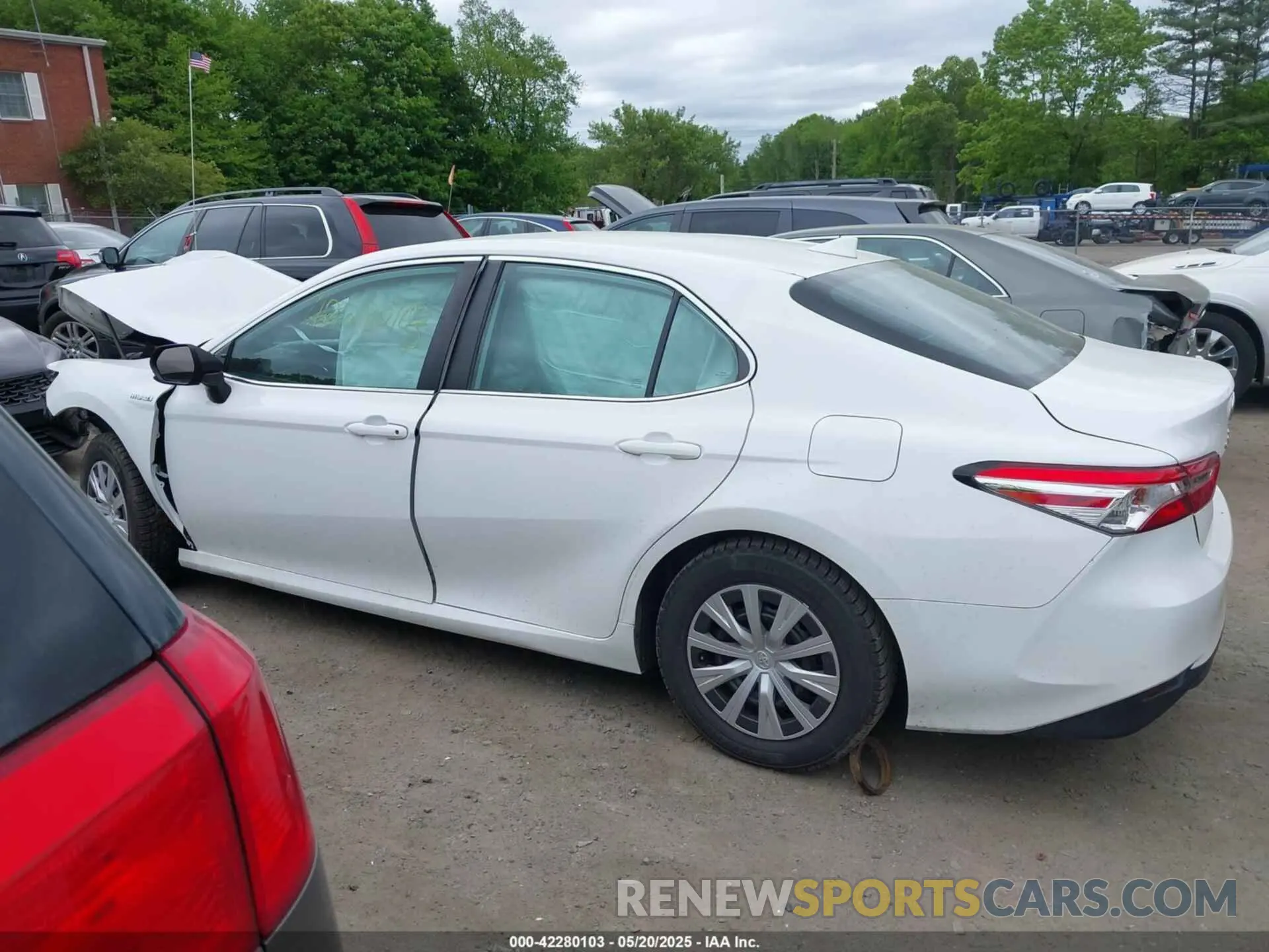 14 Photograph of a damaged car 4T1B31HK8KU008558 TOYOTA CAMRY HYBRID 2019