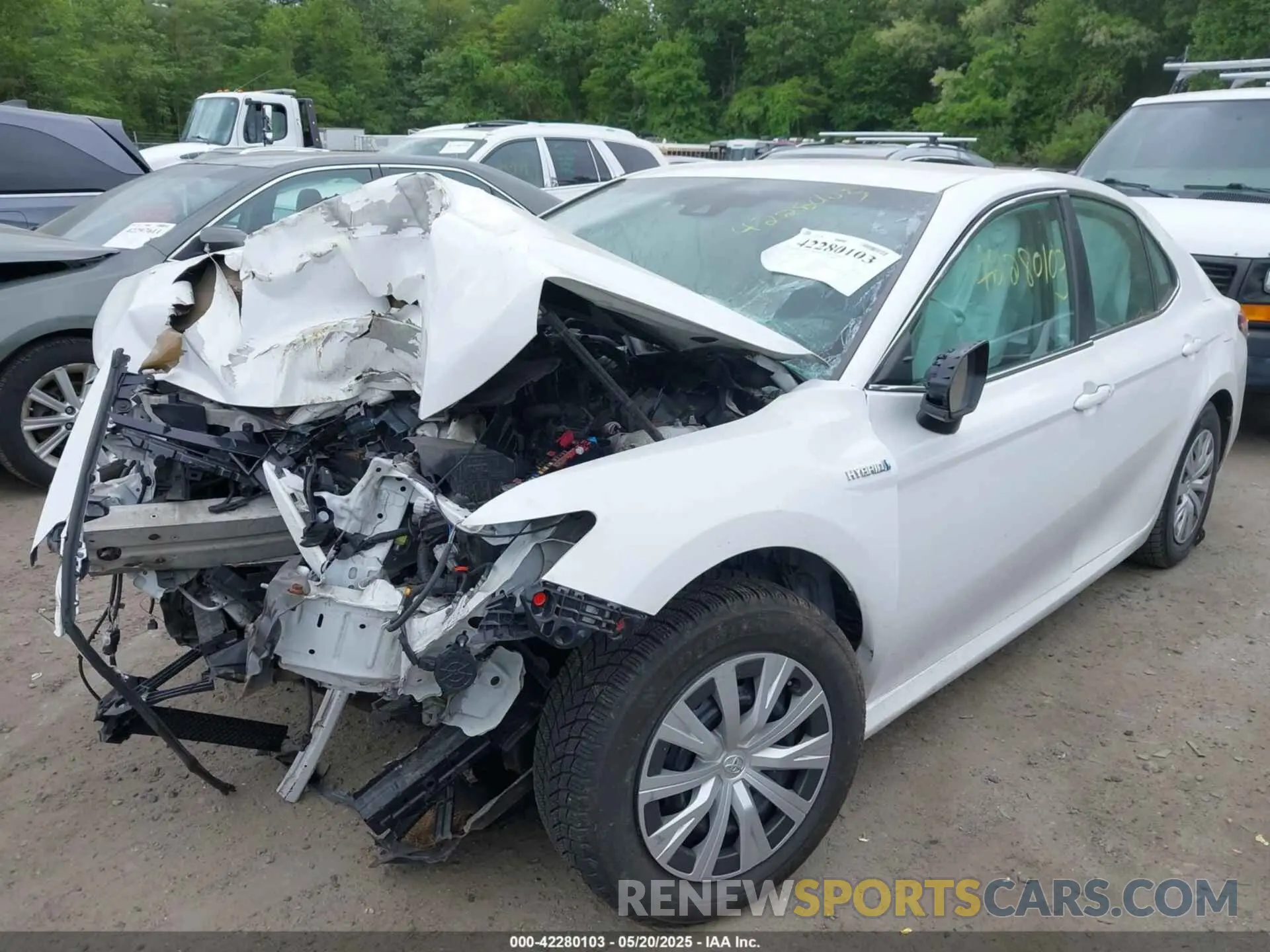 2 Photograph of a damaged car 4T1B31HK8KU008558 TOYOTA CAMRY HYBRID 2019