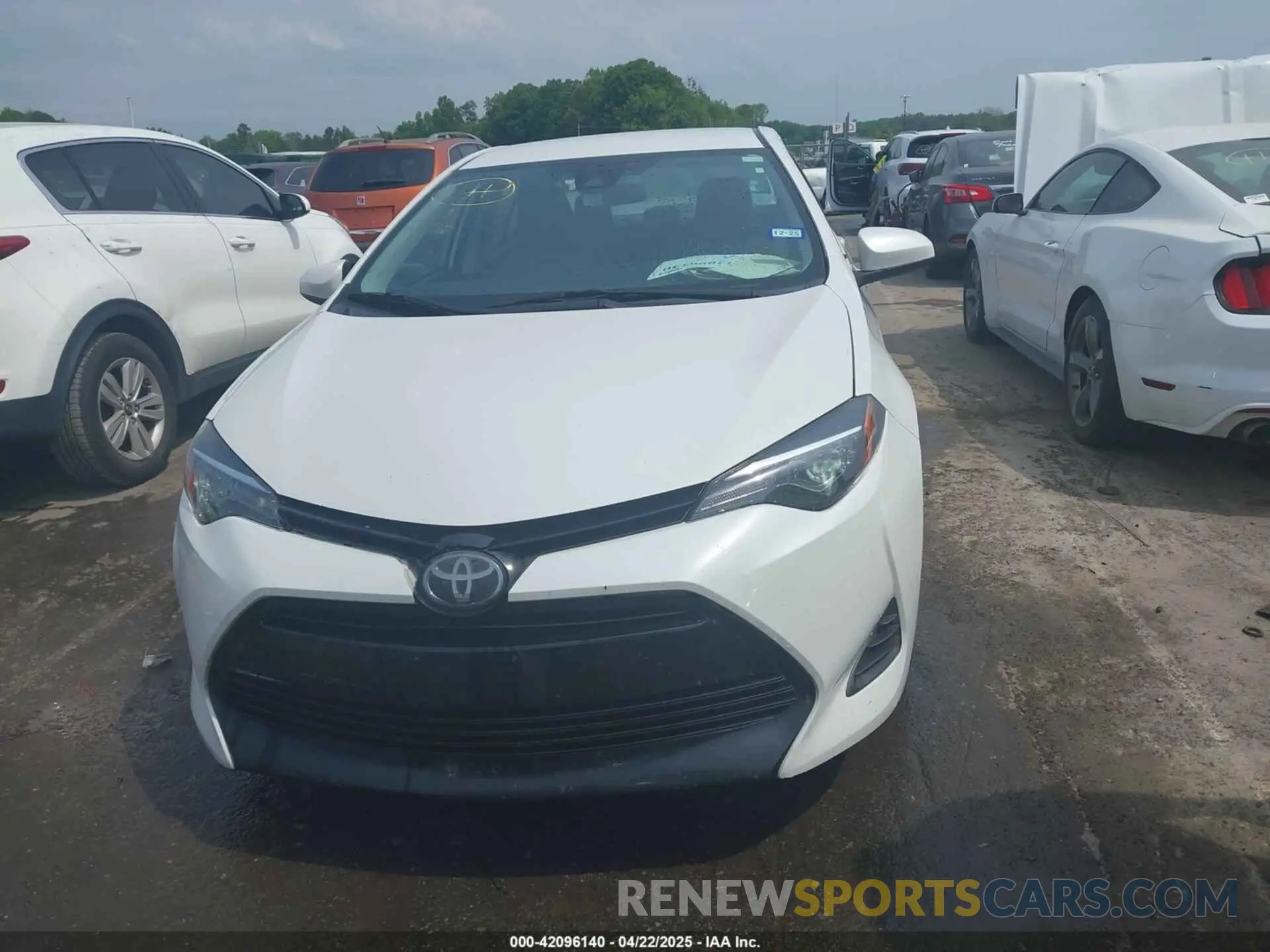 12 Photograph of a damaged car 5YFBURHE0KP895824 TOYOTA COROLLA 2019