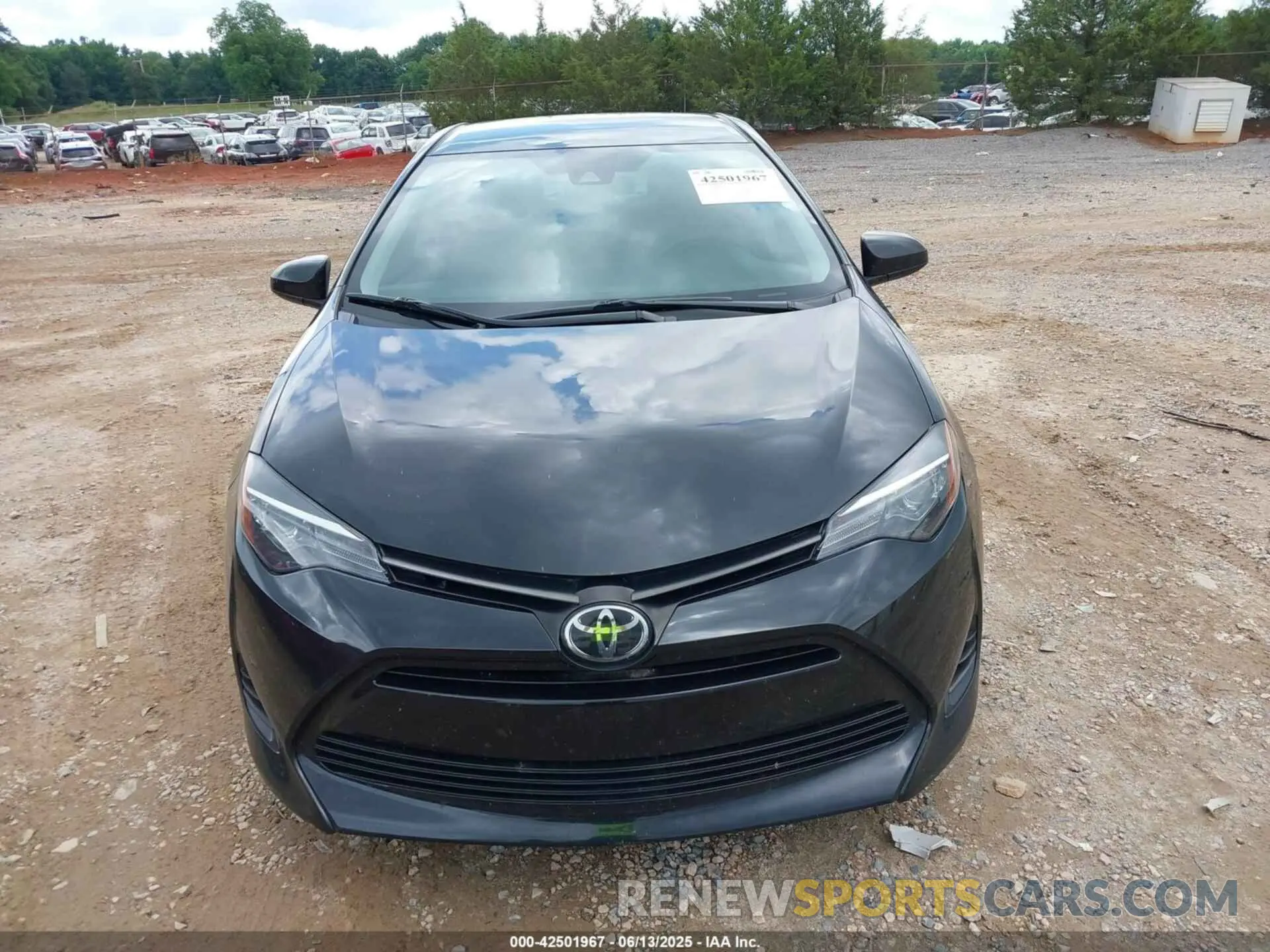 12 Photograph of a damaged car 5YFBURHE5KP899948 TOYOTA COROLLA 2019