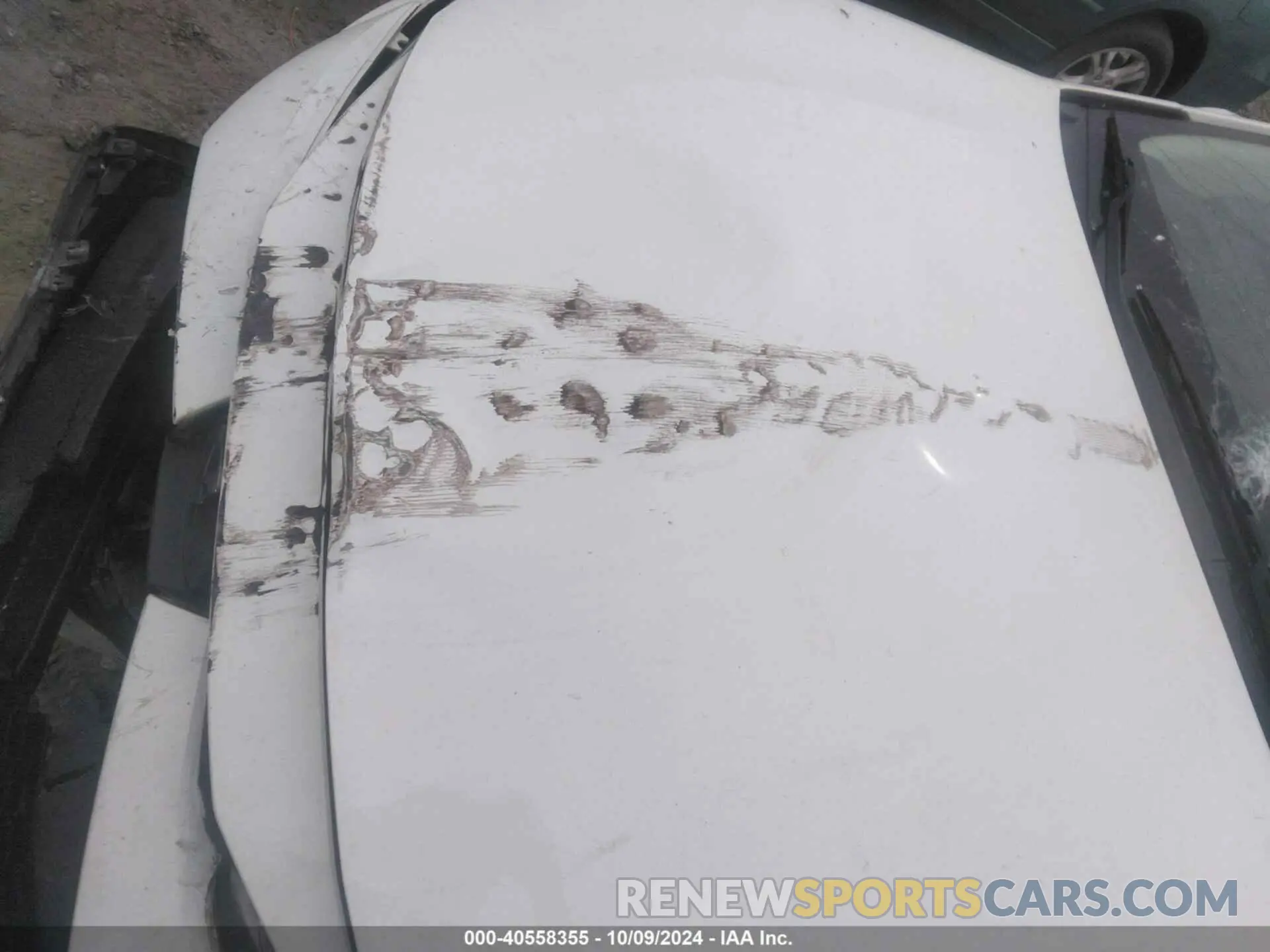 12 Photograph of a damaged car JTDEPRAE8LJ048330 TOYOTA COROLLA 2020