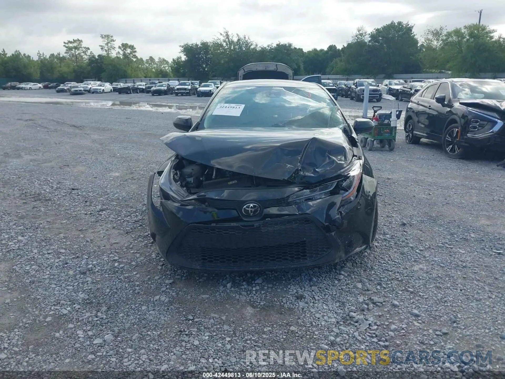 12 Photograph of a damaged car JTDEPMAEXNJ225031 TOYOTA COROLLA 2022