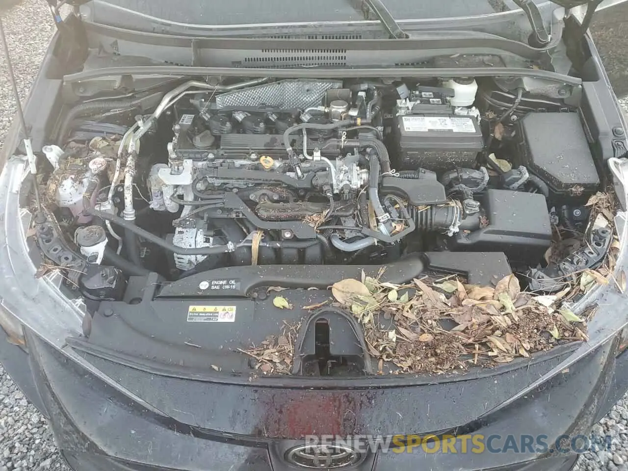 11 Photograph of a damaged car 5YFB4MDE0PP028147 TOYOTA COROLLA 2023