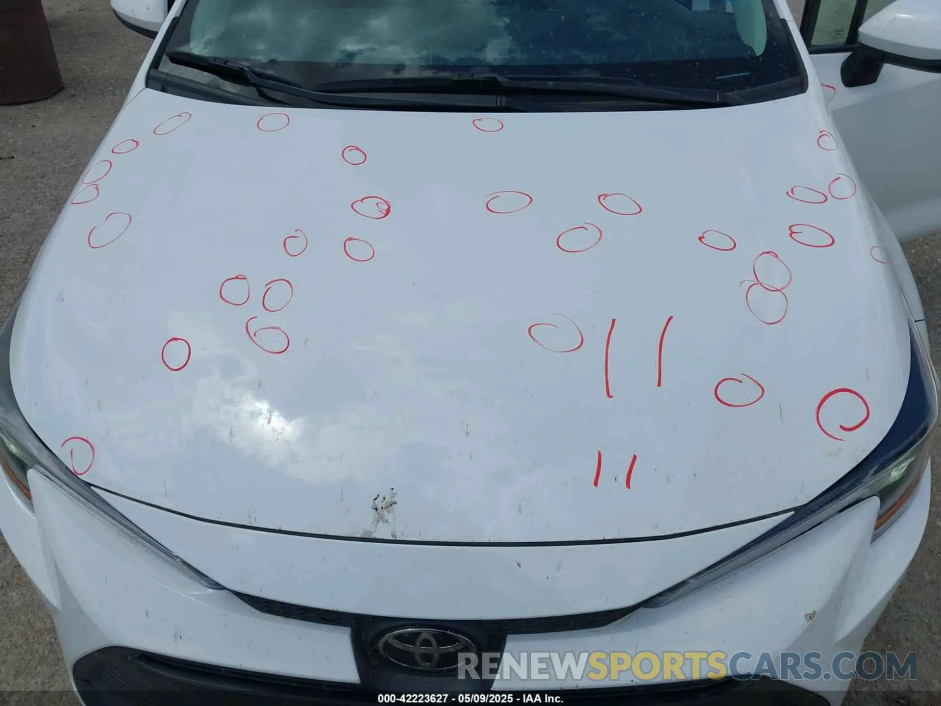 6 Photograph of a damaged car 5YFB4MDE2PP046567 TOYOTA COROLLA 2023