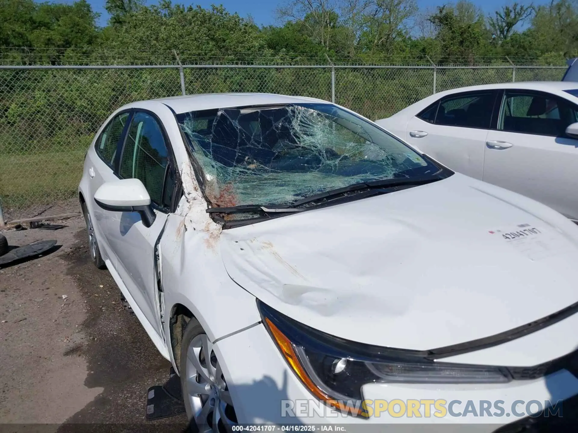 6 Photograph of a damaged car 5YFB4MDE8PP069156 TOYOTA COROLLA 2023