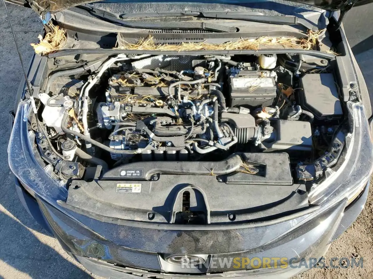 11 Photograph of a damaged car 5YFB4MDE9PP030236 TOYOTA COROLLA 2023