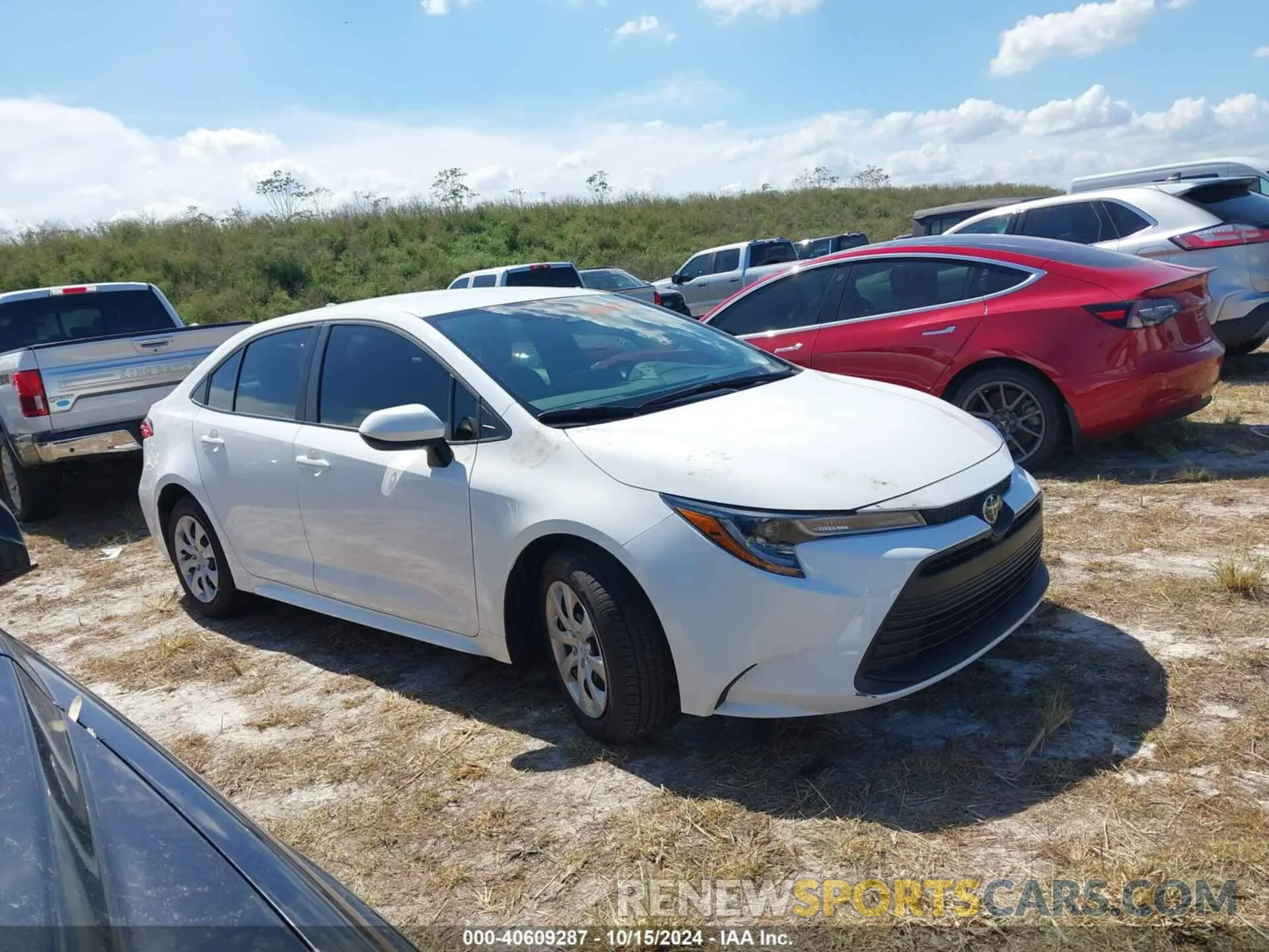 12 Photograph of a damaged car 5YFB4MDE0RP187138 TOYOTA COROLLA 2024