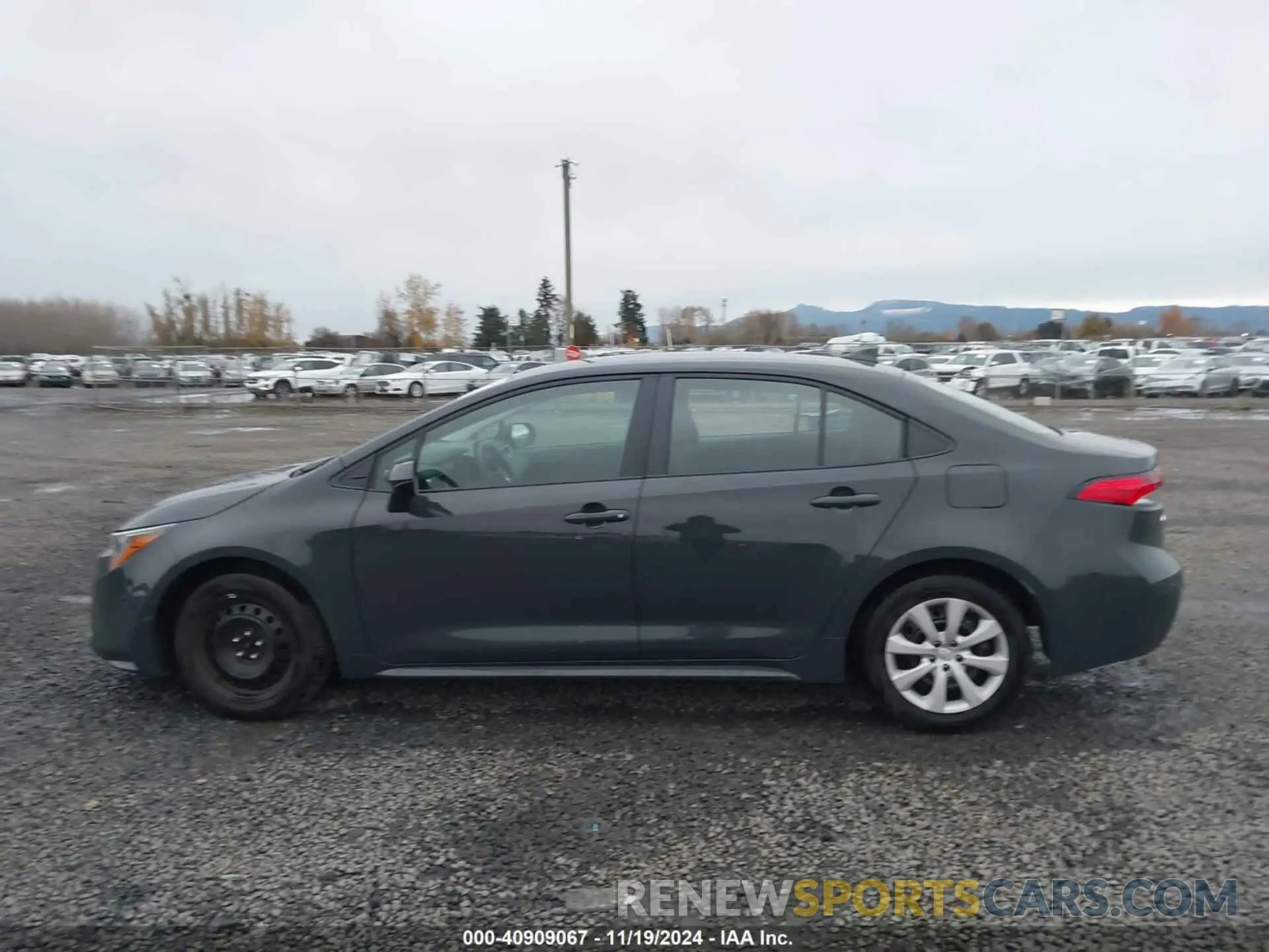 14 Photograph of a damaged car 5YFB4MDE6RP189900 TOYOTA COROLLA 2024