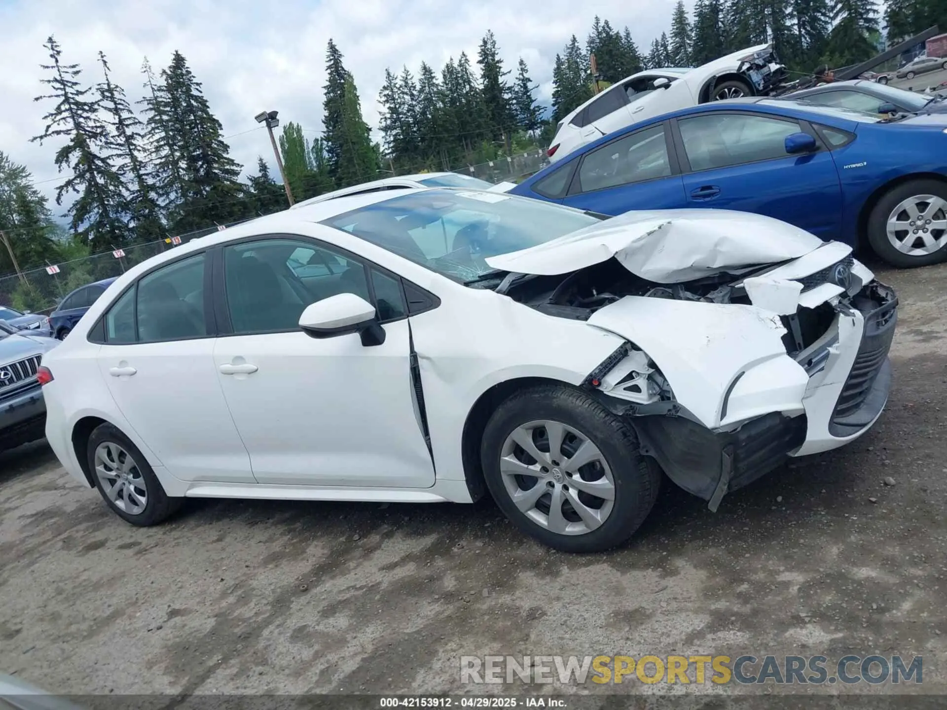 13 Photograph of a damaged car 5YFB4MDE8RP087708 TOYOTA COROLLA 2024