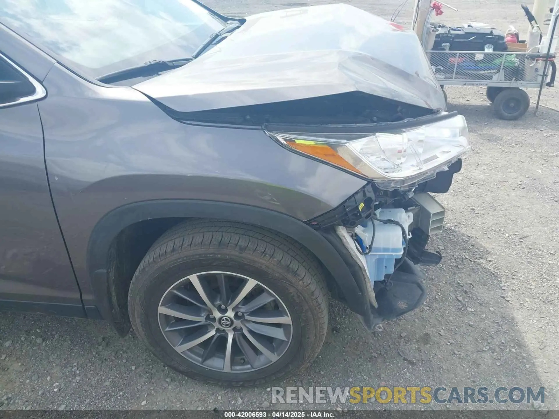 19 Photograph of a damaged car 5TDKZRFH3KS353087 TOYOTA HIGHLANDER 2019