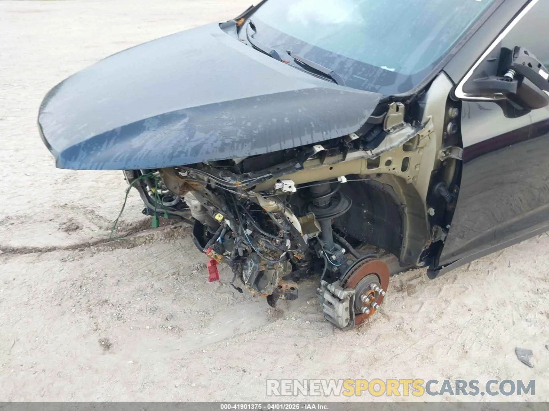 19 Photograph of a damaged car 5TDKZRFH9KS325116 TOYOTA HIGHLANDER 2019