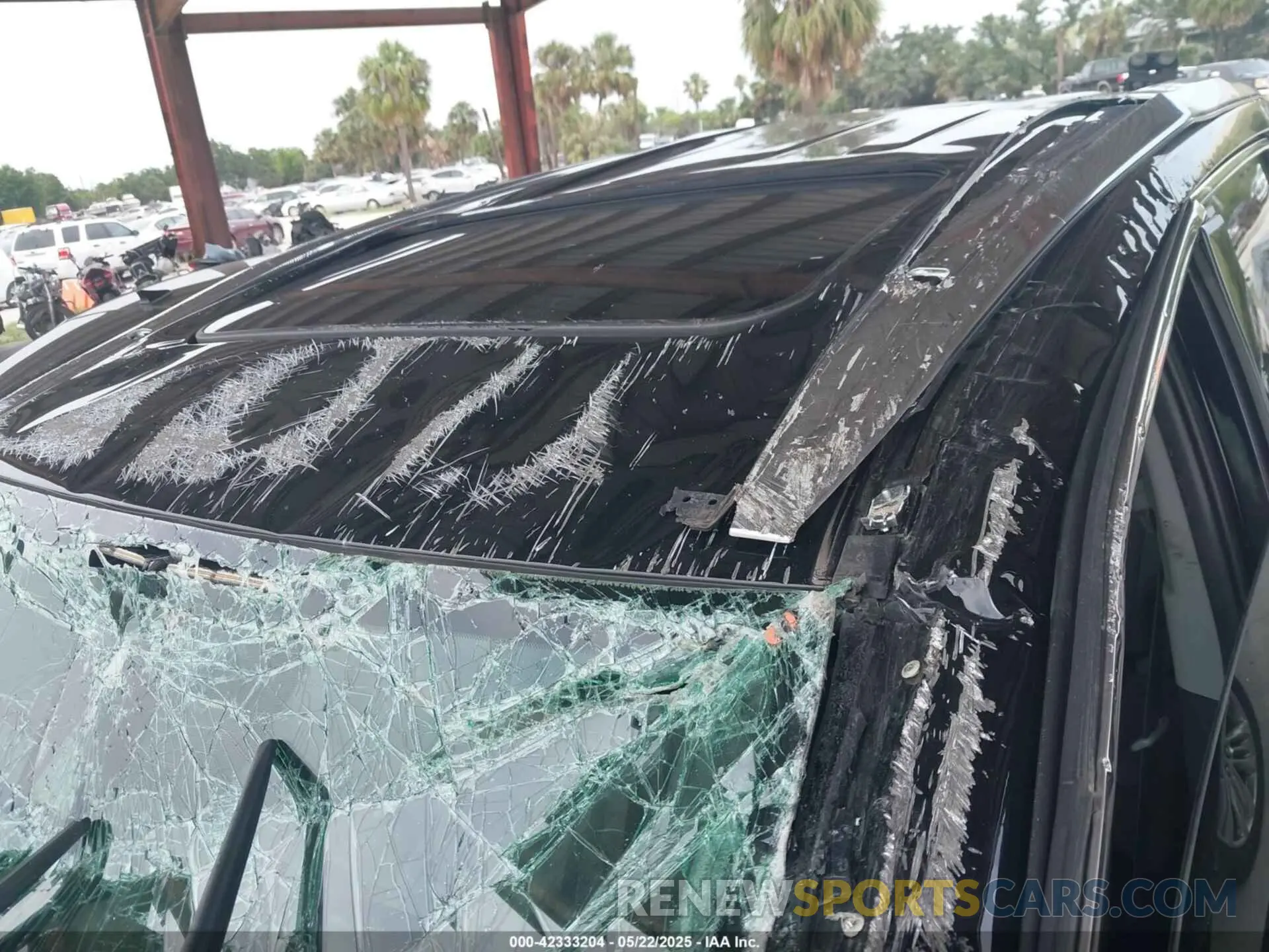 16 Photograph of a damaged car 5TDYZRFH8KS339051 TOYOTA HIGHLANDER 2019