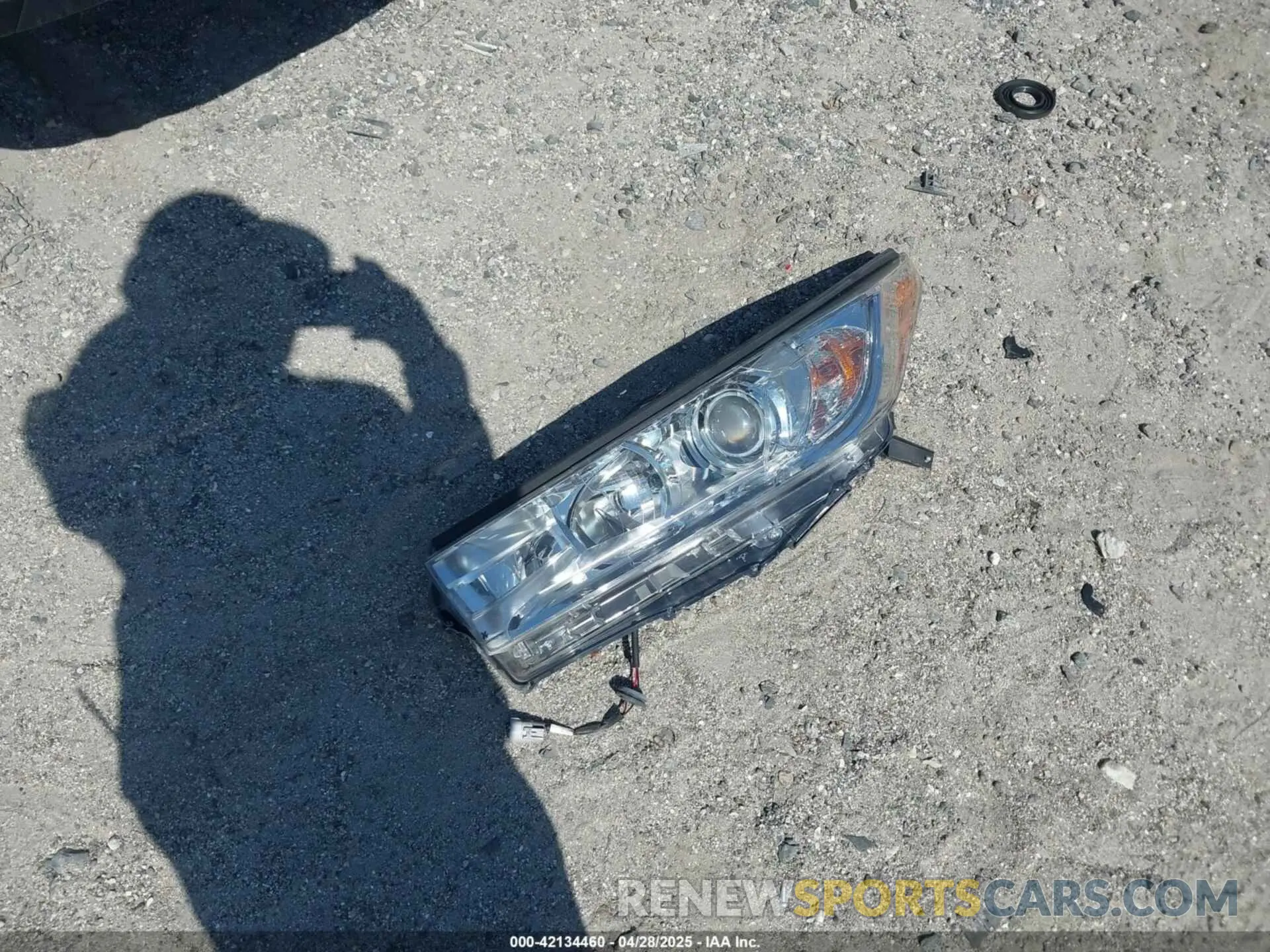 12 Photograph of a damaged car 5TDZZRFH8KS362902 TOYOTA HIGHLANDER 2019