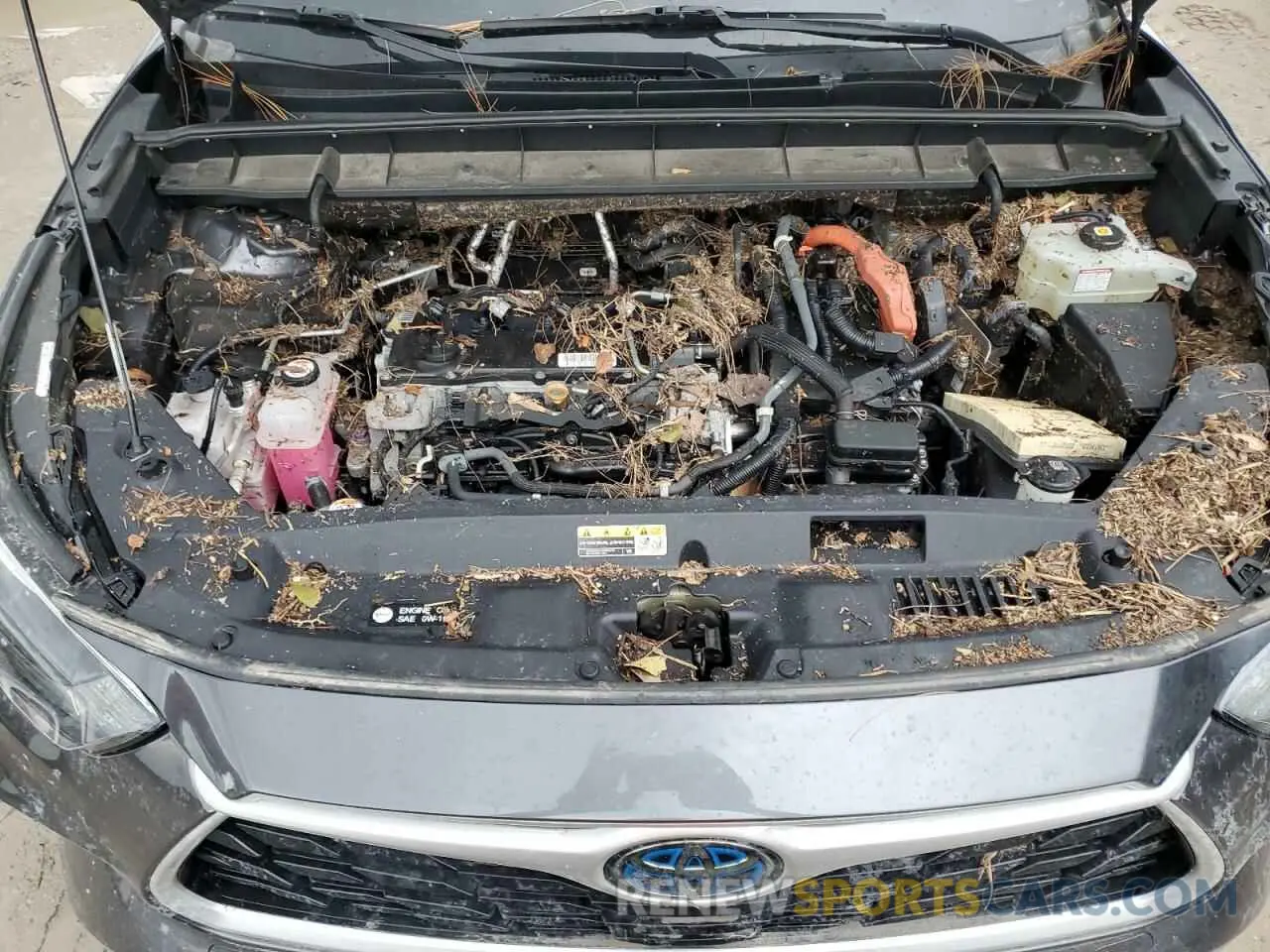 12 Photograph of a damaged car 5TDHBRCH3LS510086 TOYOTA HIGHLANDER 2020