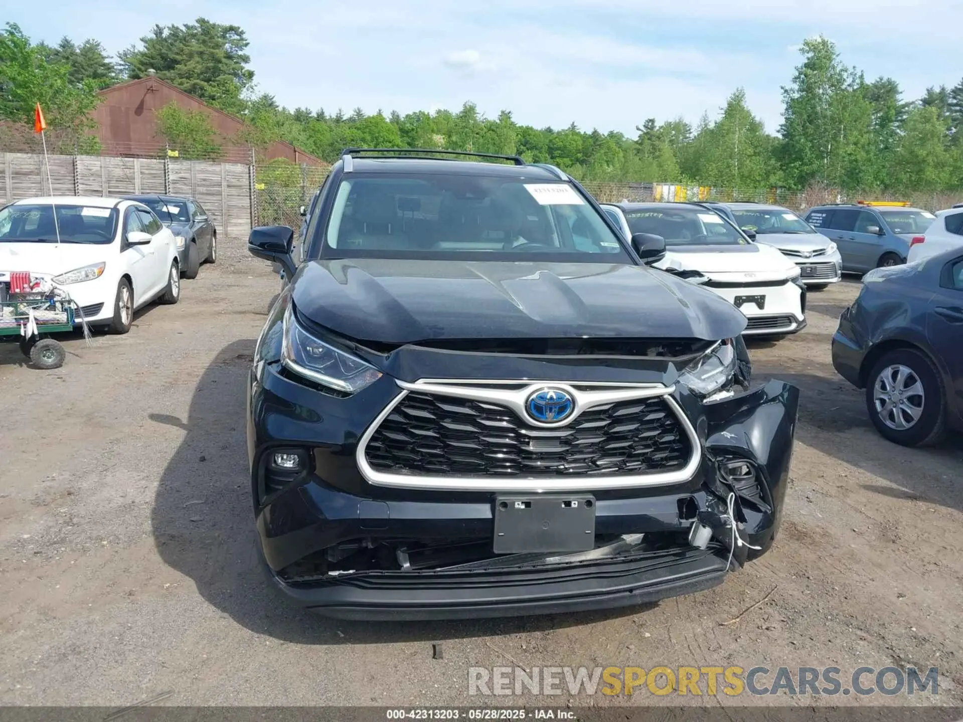 12 Photograph of a damaged car 5TDABRCH9PS135442 TOYOTA HIGHLANDER 2023
