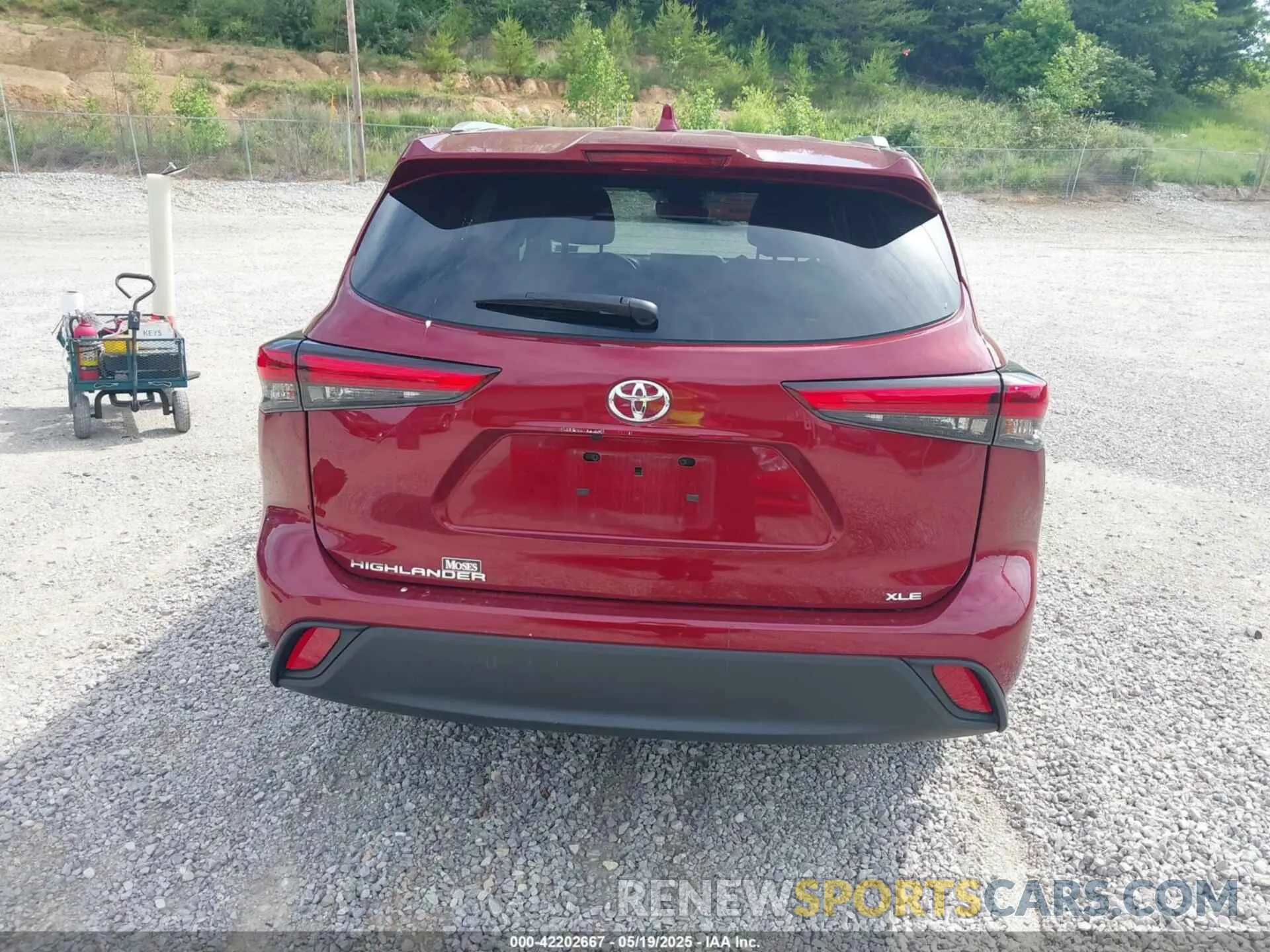 16 Photograph of a damaged car 5TDKDRAH8PS026410 TOYOTA HIGHLANDER 2023