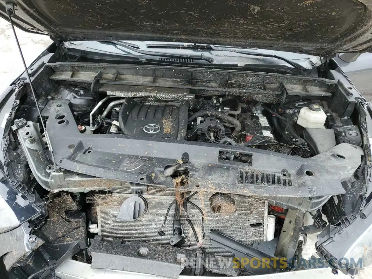14 Photograph of a damaged car 5TDKDRBH0PS001838 TOYOTA HIGHLANDER 2023