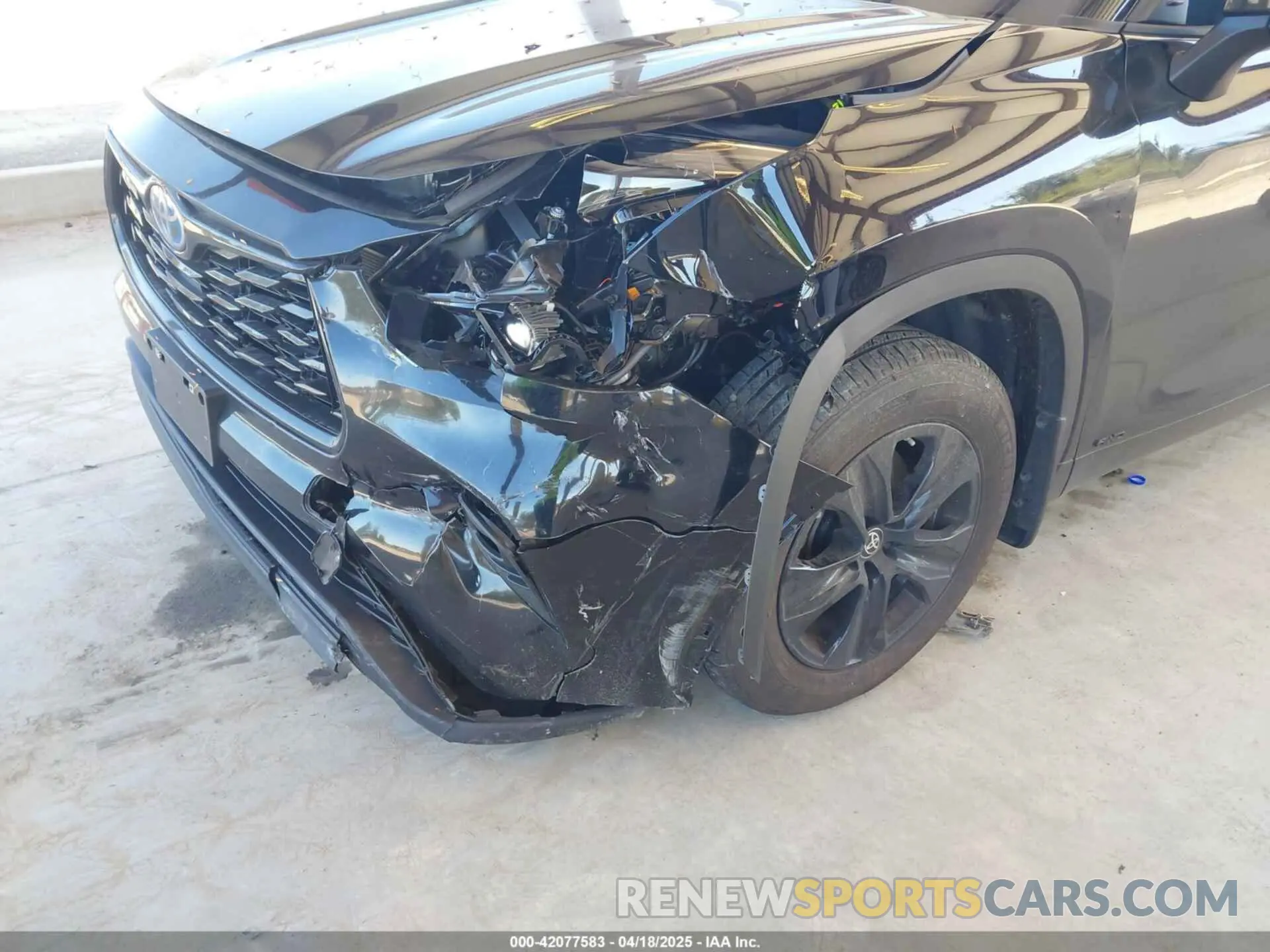6 Photograph of a damaged car 5TDKBRCH8RS139375 TOYOTA HIGHLANDER HYBRID 2024