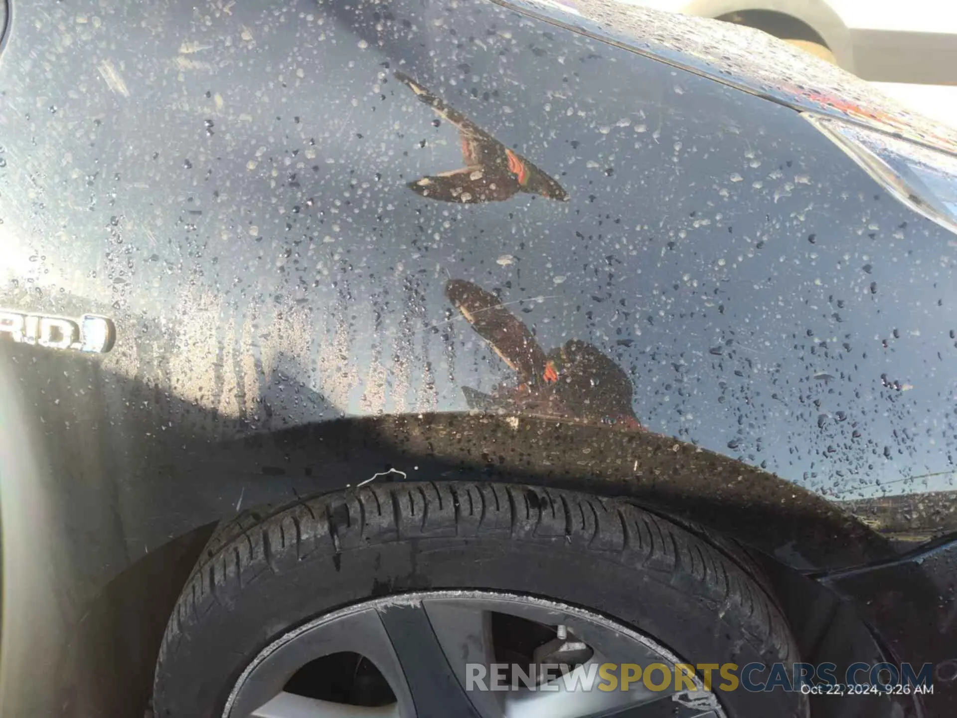 13 Photograph of a damaged car JTDKARFU7L3116304 TOYOTA PRIUS 2020