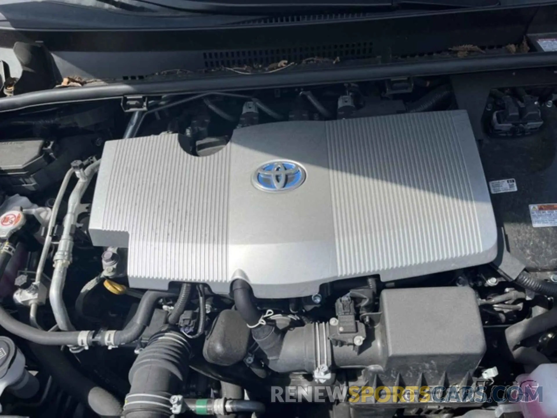 14 Photograph of a damaged car JTDKAMFU0N3179055 TOYOTA PRIUS 2022