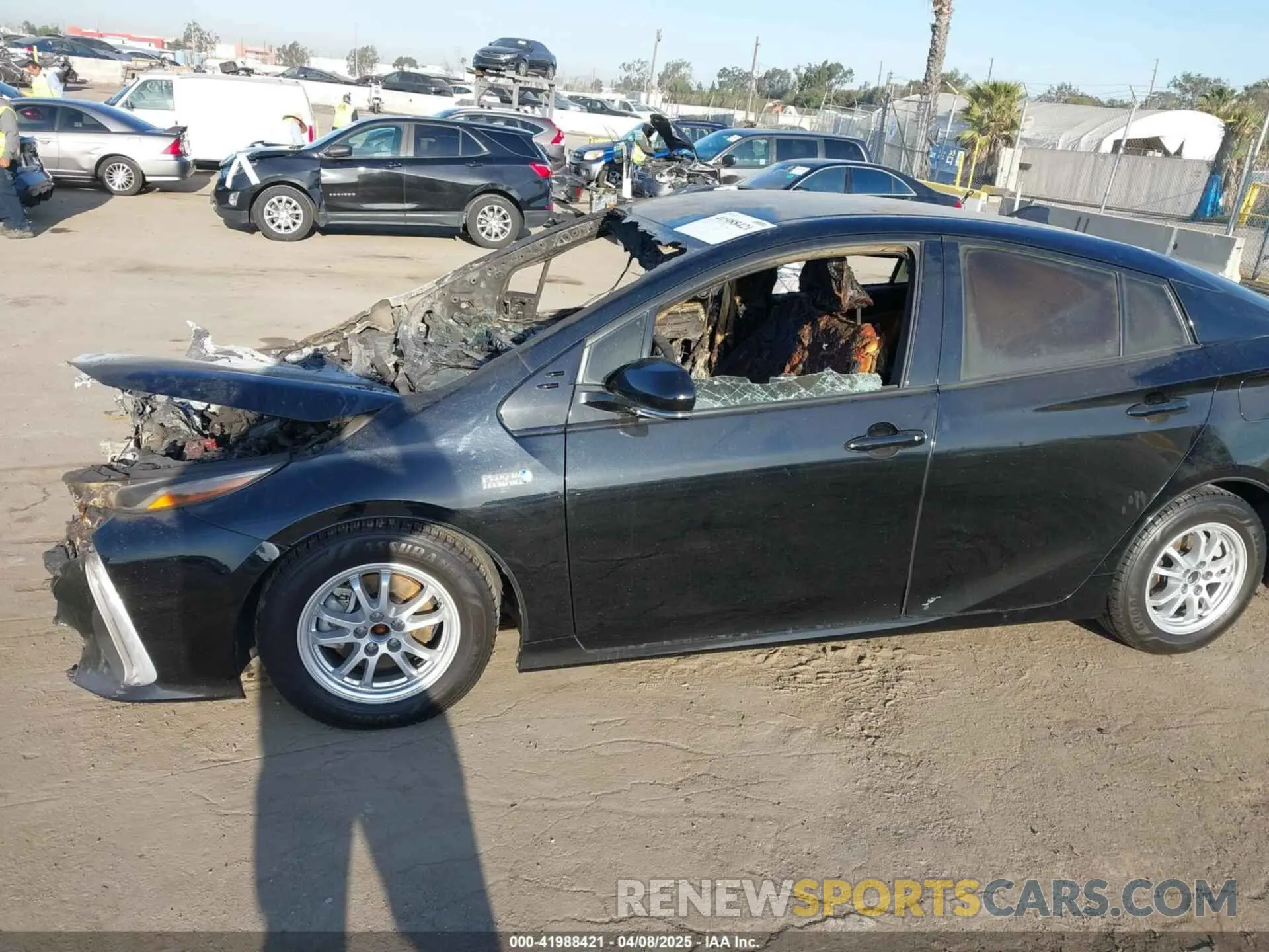 12 Photograph of a damaged car JTDKARFP8L3151282 TOYOTA PRIUS PRIME 2020