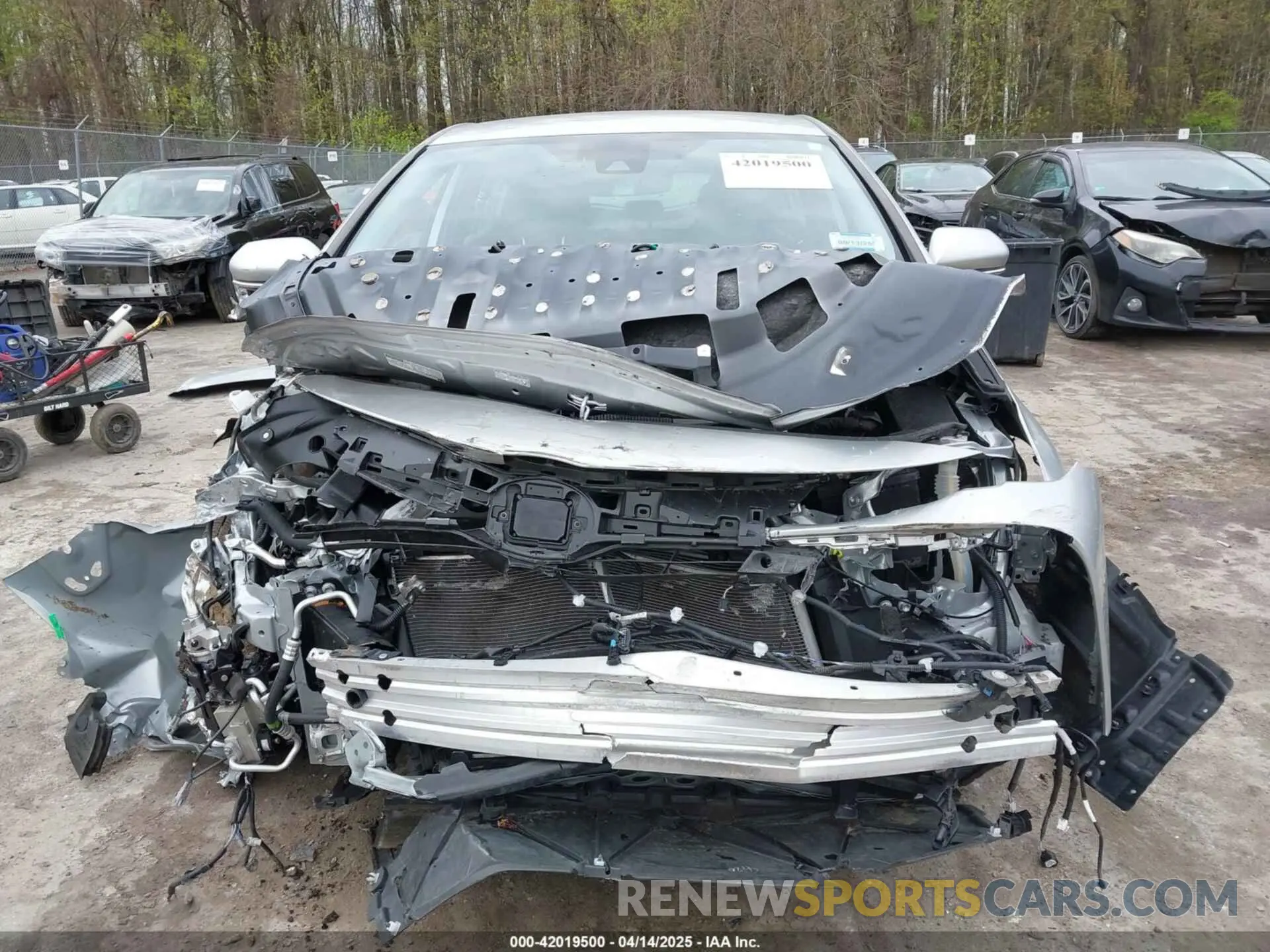 12 Photograph of a damaged car JTDKAMFP0M3194485 TOYOTA PRIUS PRIME 2021