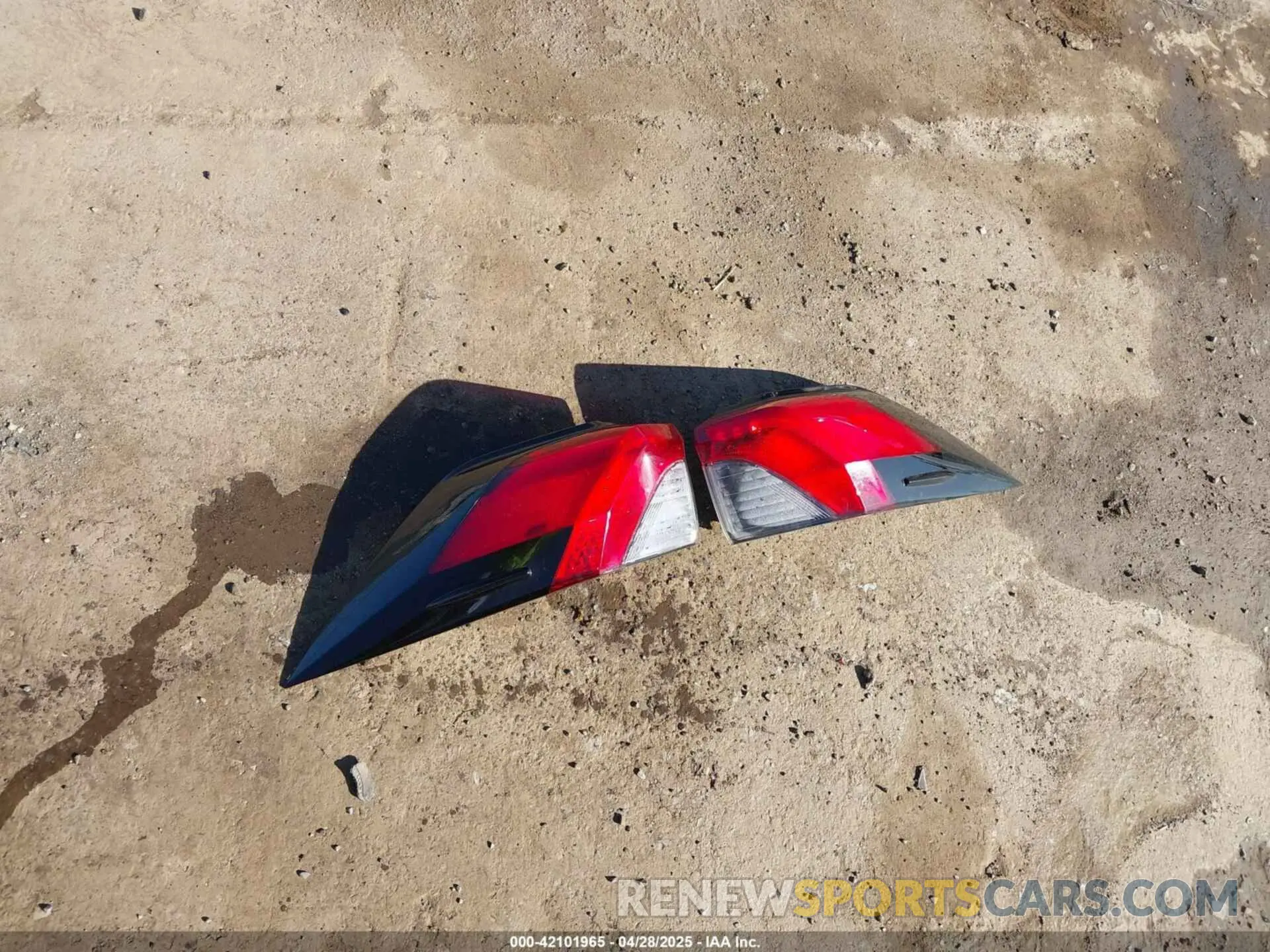12 Photograph of a damaged car 2T3A1RFVXKC026386 TOYOTA RAV4 2019