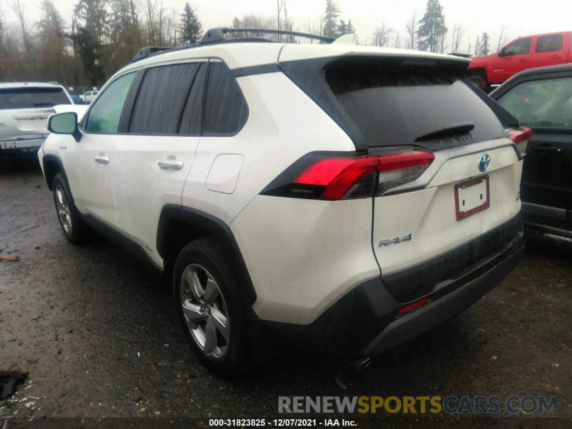 3 Photograph of a damaged car 2T3DWRFV2KW005304 TOYOTA RAV4 2019