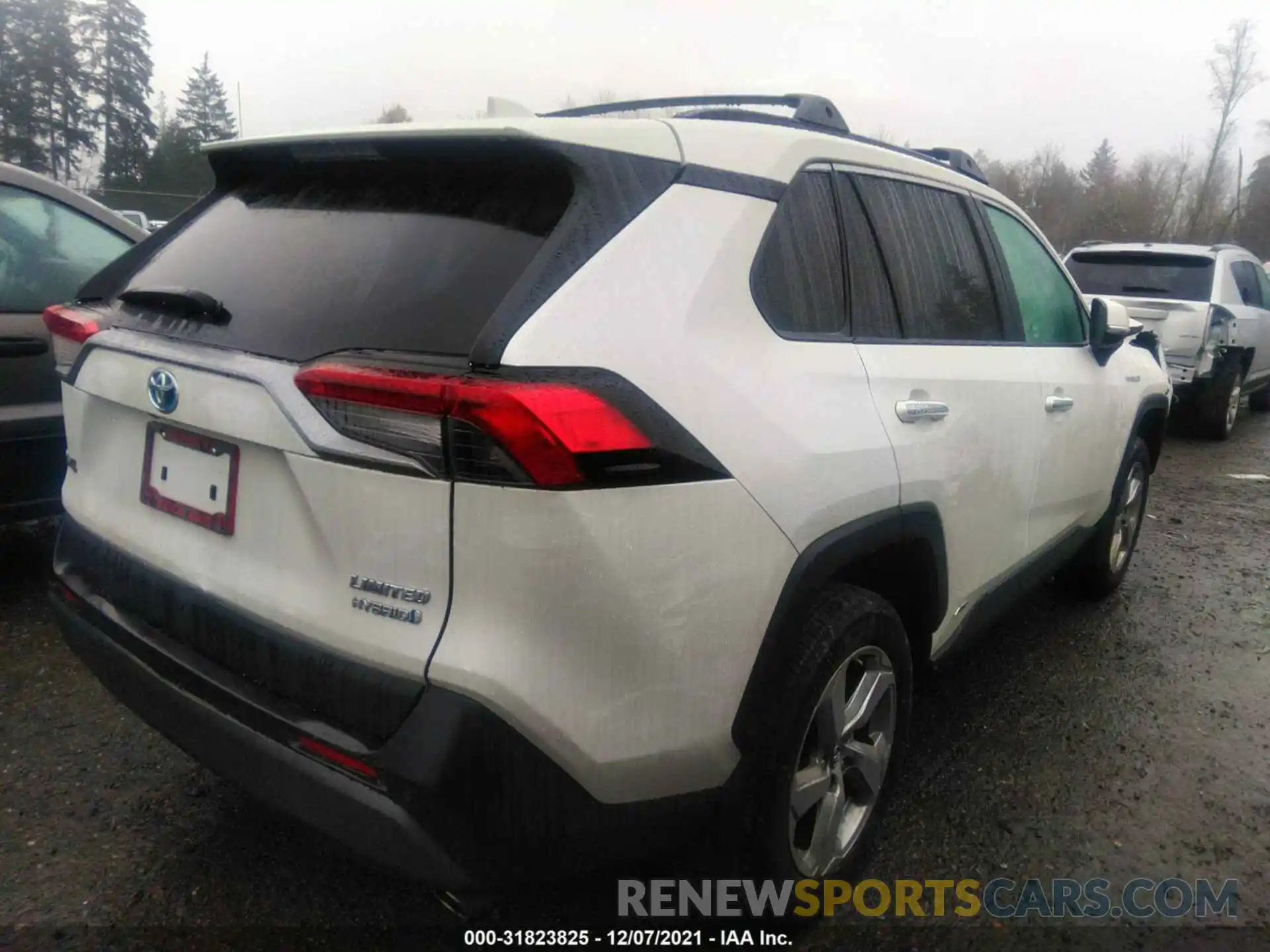 4 Photograph of a damaged car 2T3DWRFV2KW005304 TOYOTA RAV4 2019