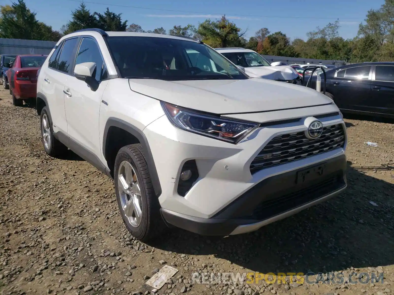 1 Photograph of a damaged car 2T3DWRFV5KW022484 TOYOTA RAV4 2019