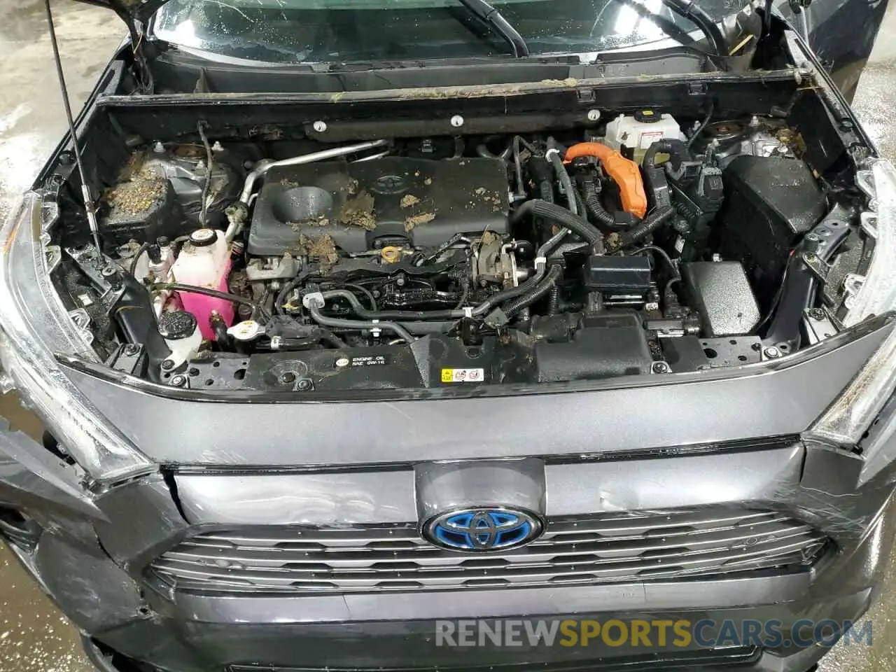 12 Photograph of a damaged car 2T3DWRFV9KW017689 TOYOTA RAV4 2019