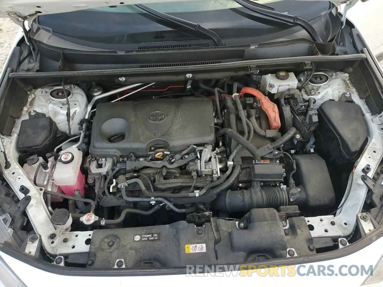 12 Photograph of a damaged car 2T3EWRFV2KW003413 TOYOTA RAV4 2019