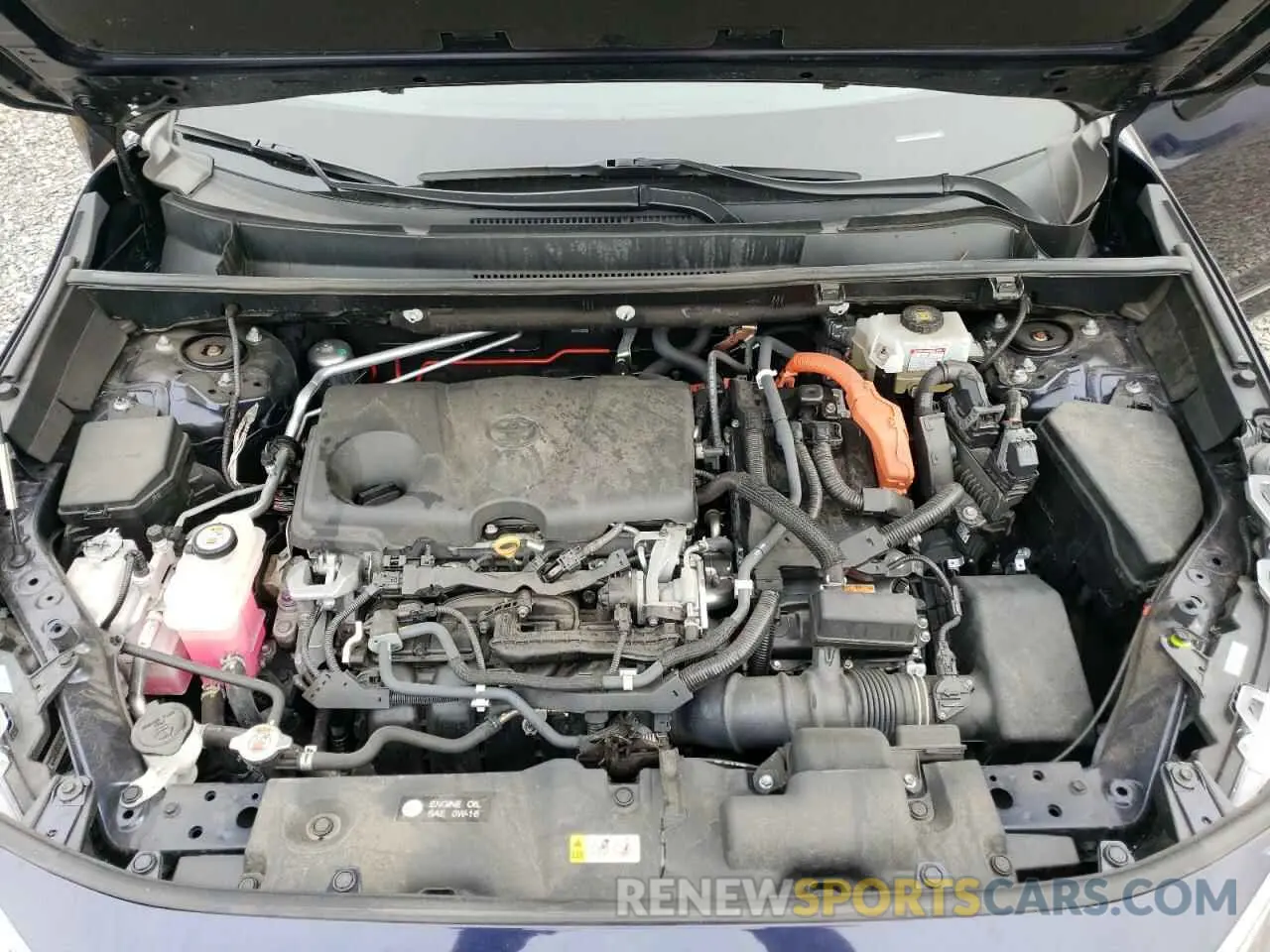 12 Photograph of a damaged car 2T3EWRFV2KW030675 TOYOTA RAV4 2019