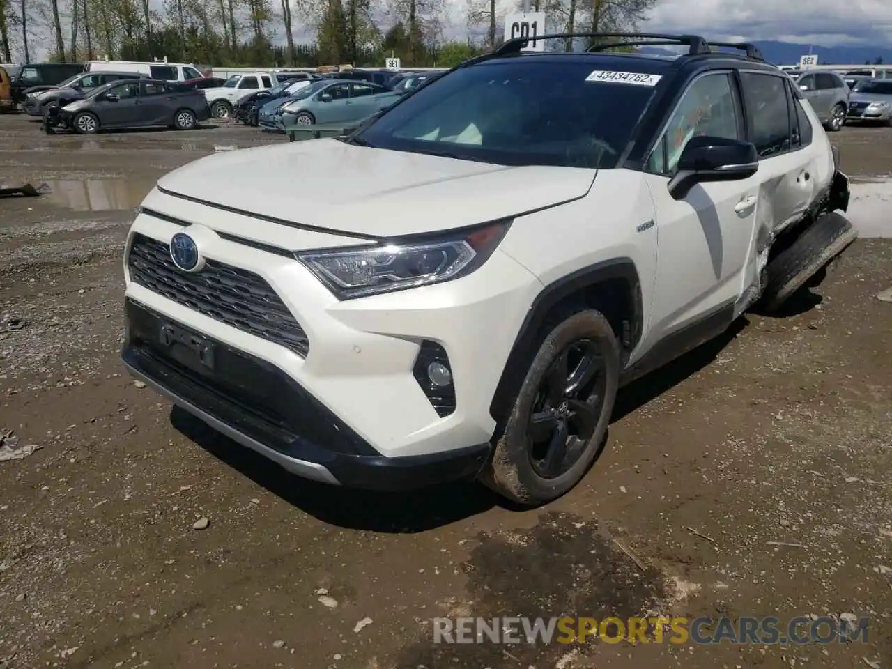 2 Photograph of a damaged car 2T3EWRFV8KW013007 TOYOTA RAV4 2019