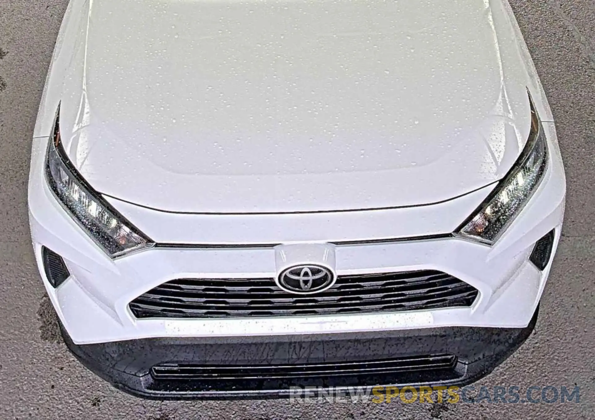 5 Photograph of a damaged car 2T3F1RFV5KC037351 TOYOTA RAV4 2019