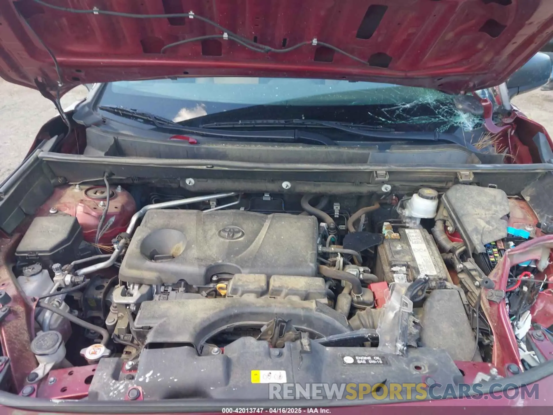 10 Photograph of a damaged car 2T3H1RFV0KW040262 TOYOTA RAV4 2019