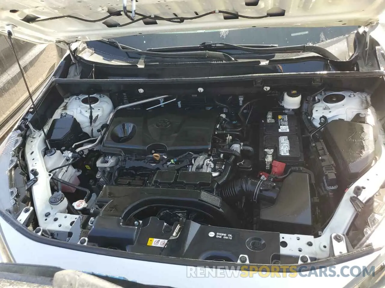 12 Photograph of a damaged car 2T3H1RFV1KC031300 TOYOTA RAV4 2019