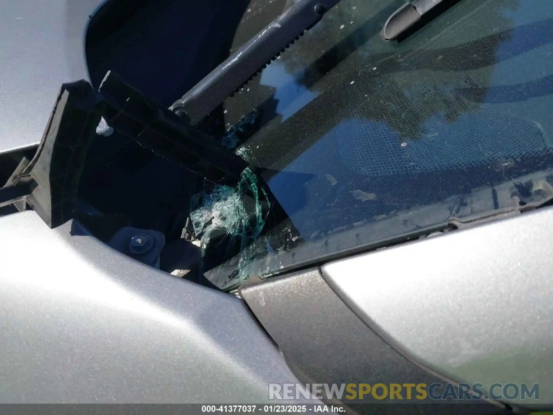 19 Photograph of a damaged car 2T3H1RFV3KC008553 TOYOTA RAV4 2019