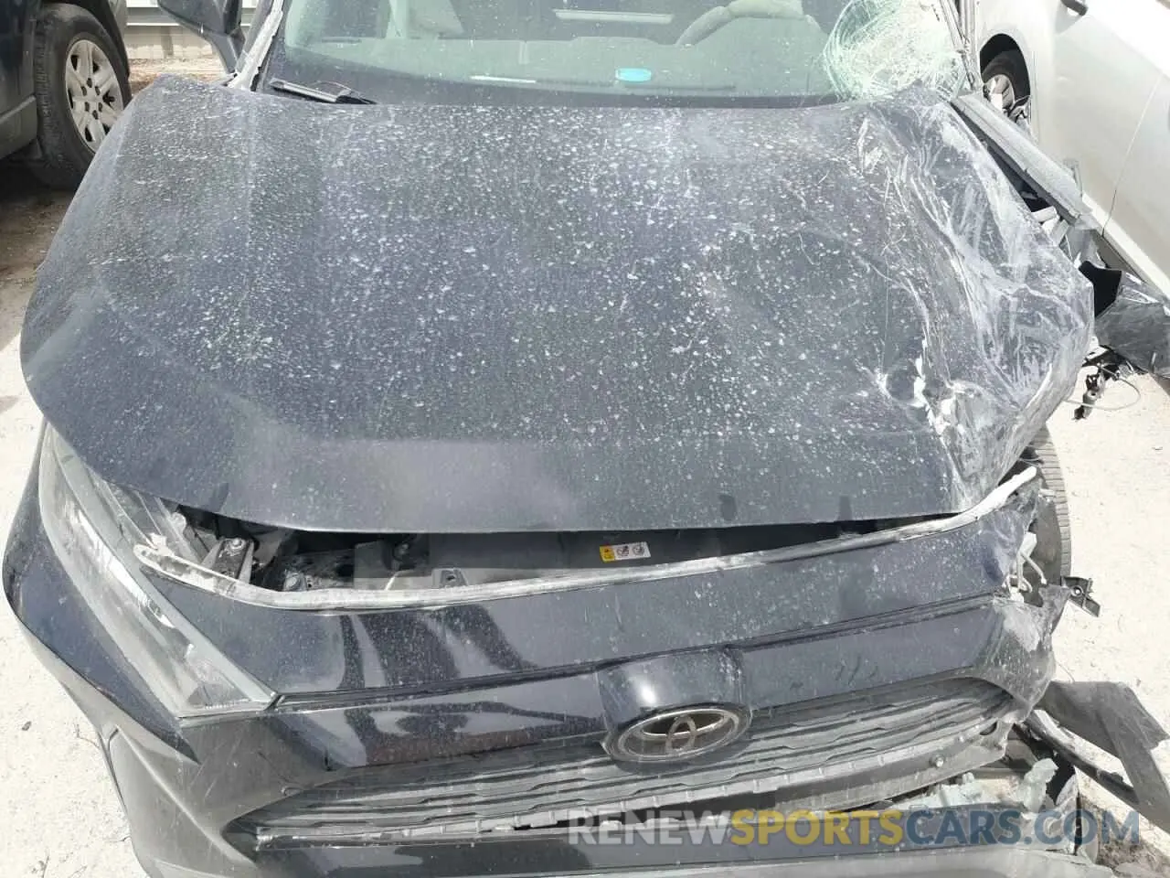 12 Photograph of a damaged car 2T3H1RFV9KC028175 TOYOTA RAV4 2019