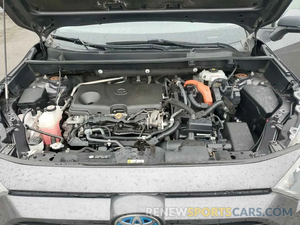 13 Photograph of a damaged car 2T3MWRFV5KW004440 TOYOTA RAV4 2019